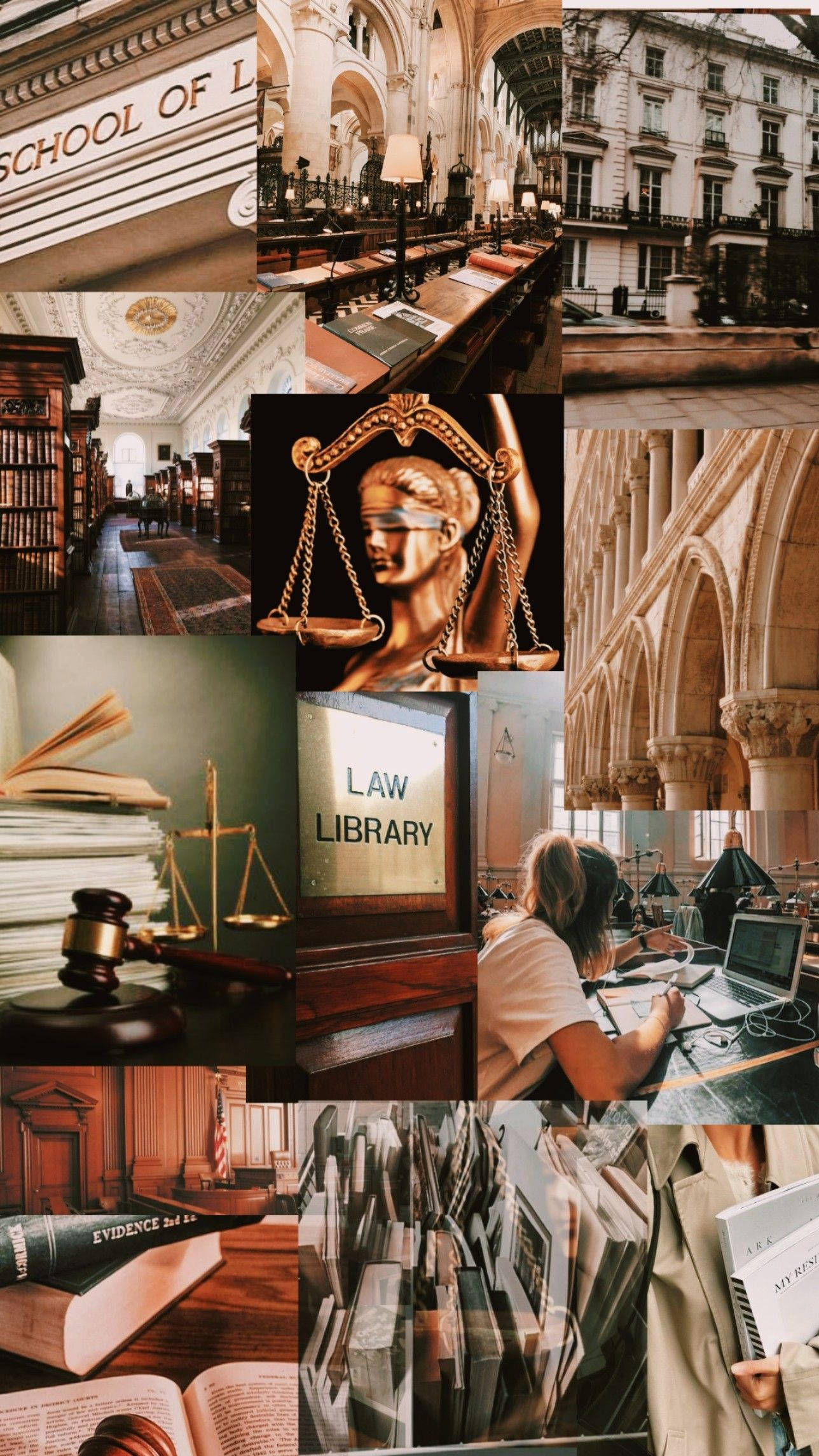 Aesthetic background of a law school library - Harvard