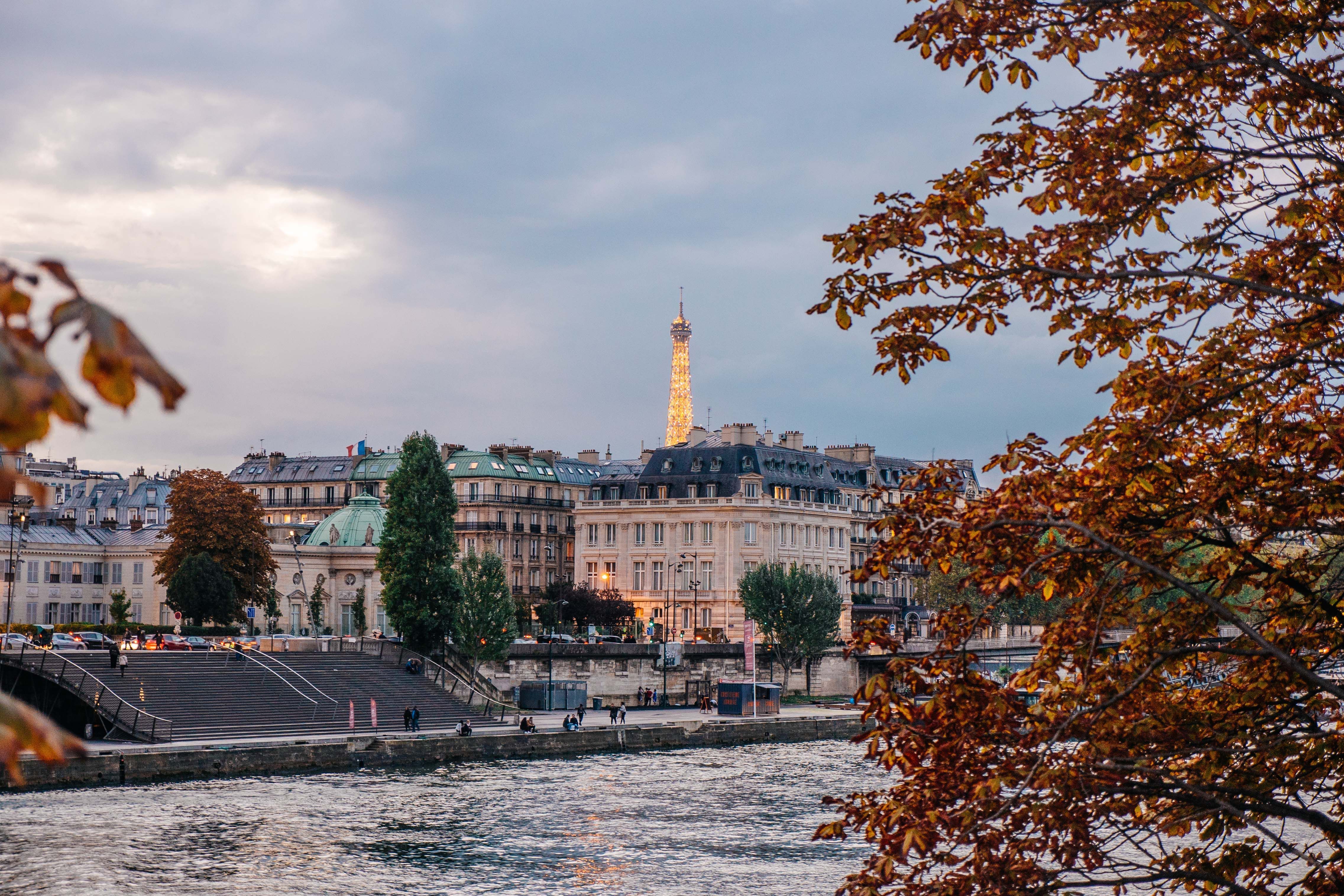 The Eiffel Tower and the Seine River in Paris, France, framed by a tree with orange leaves. - France