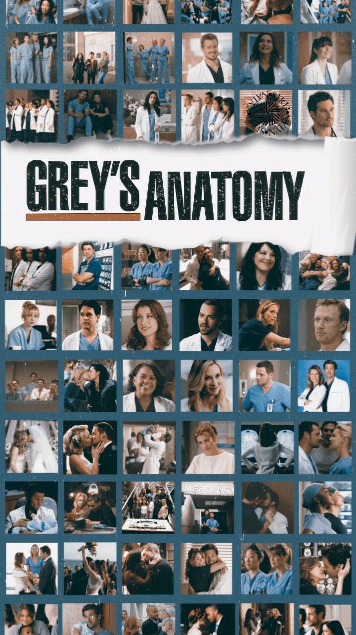 Greys anatomy season 12 dvd - Grey's Anatomy