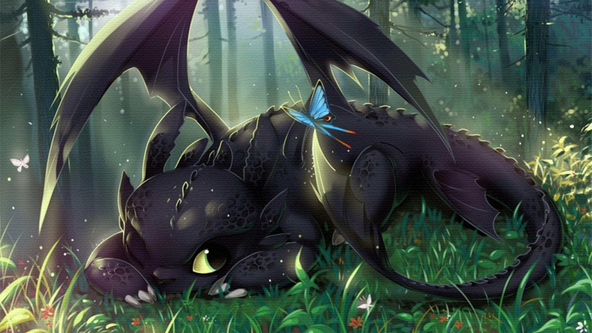 How To Train Your Dragon Wallpaper