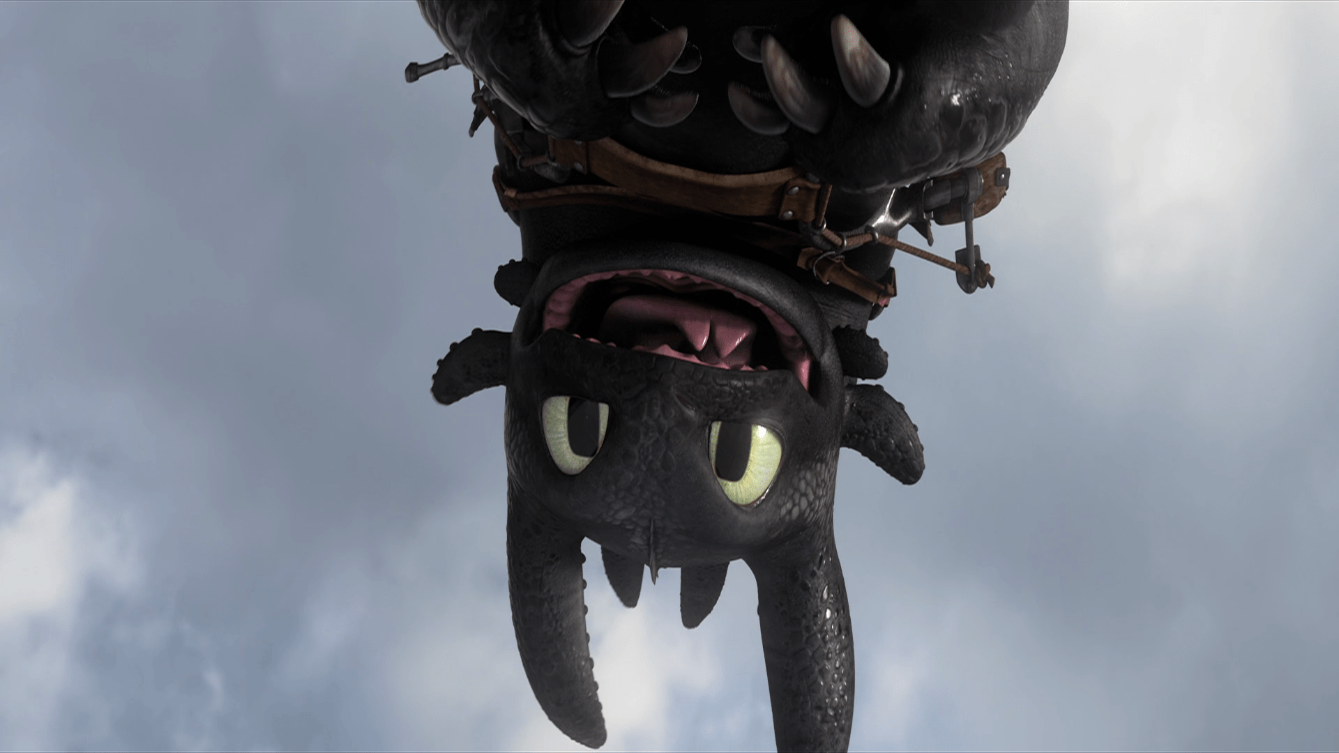 Toothless (How to Train Your Dragon) HD Wallpaper and Background