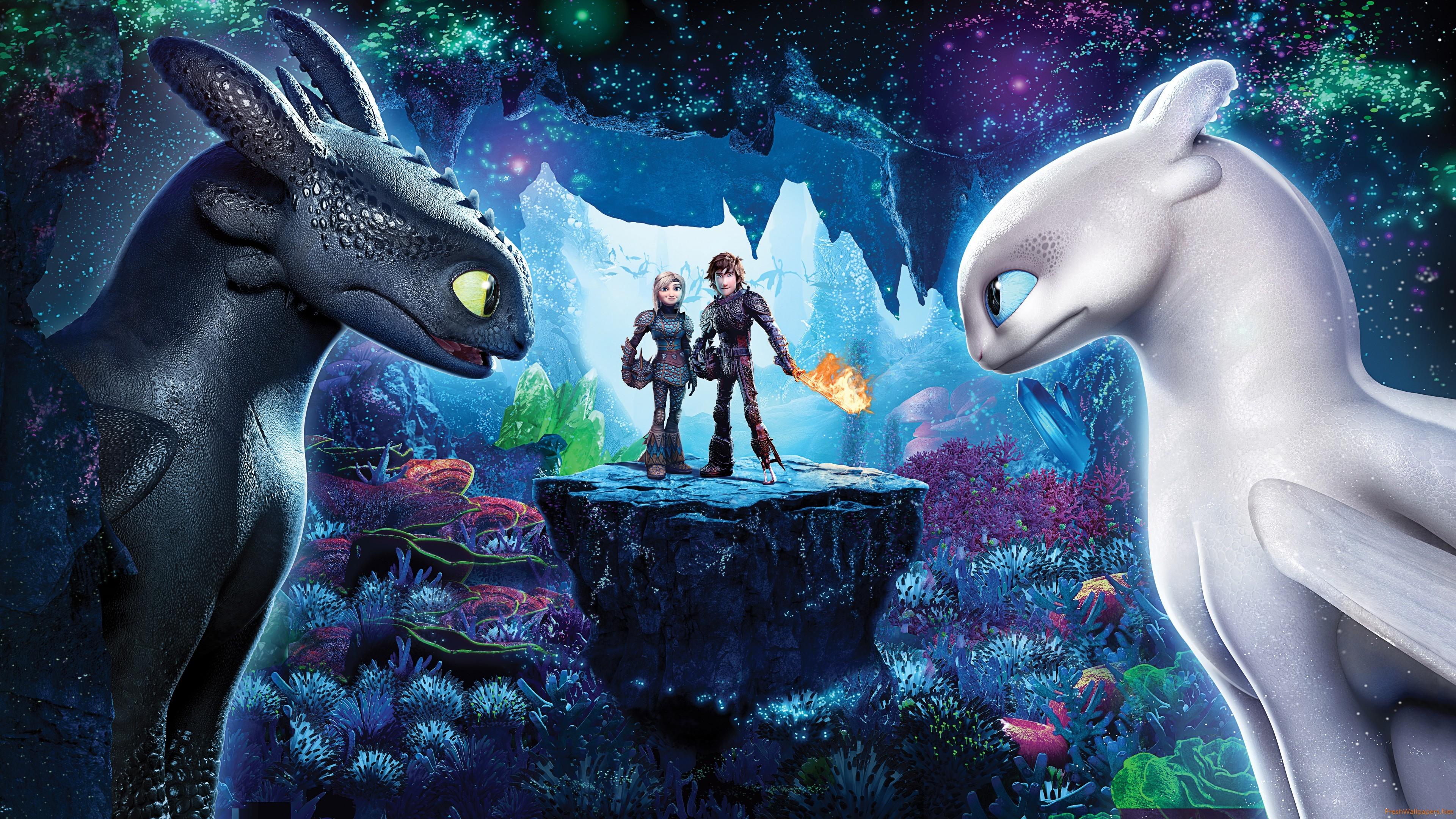 How To Train Your Dragon Homecoming Wallpaper