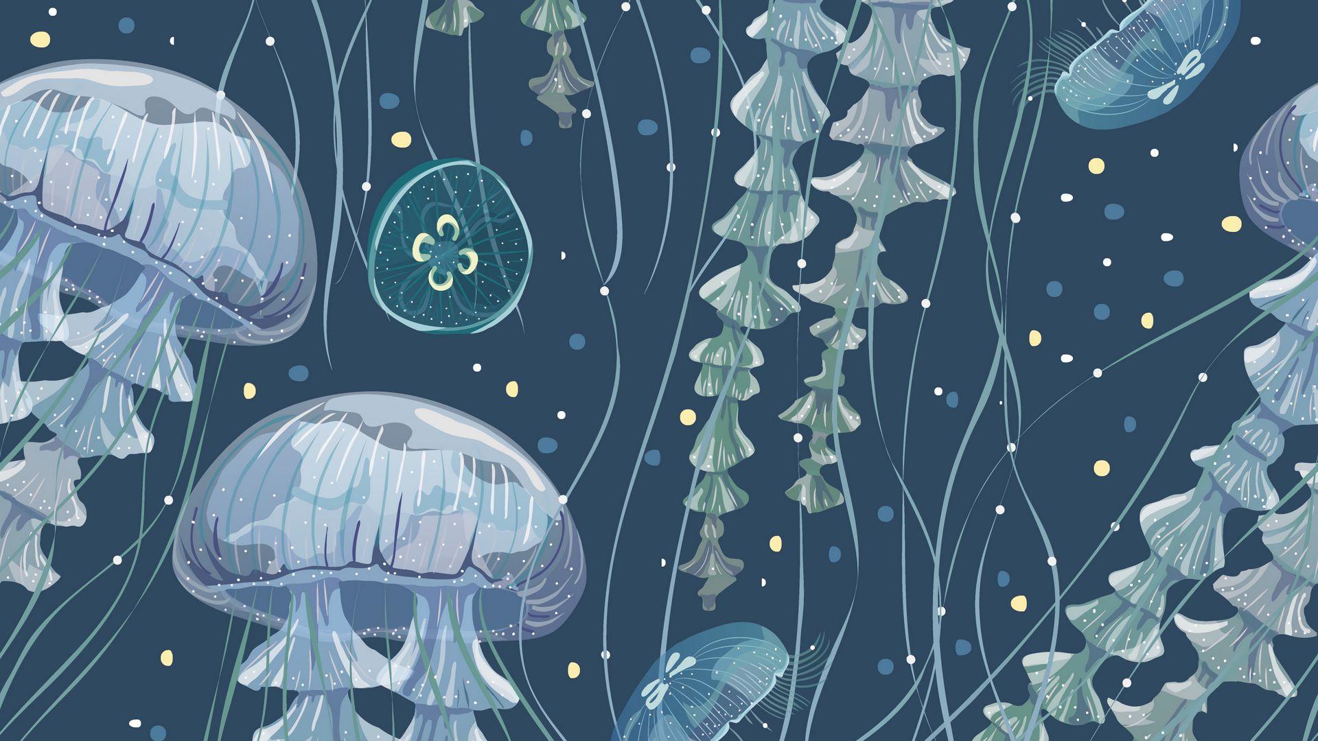 Jellyfish Art Wallpaper Free Jellyfish Art Background