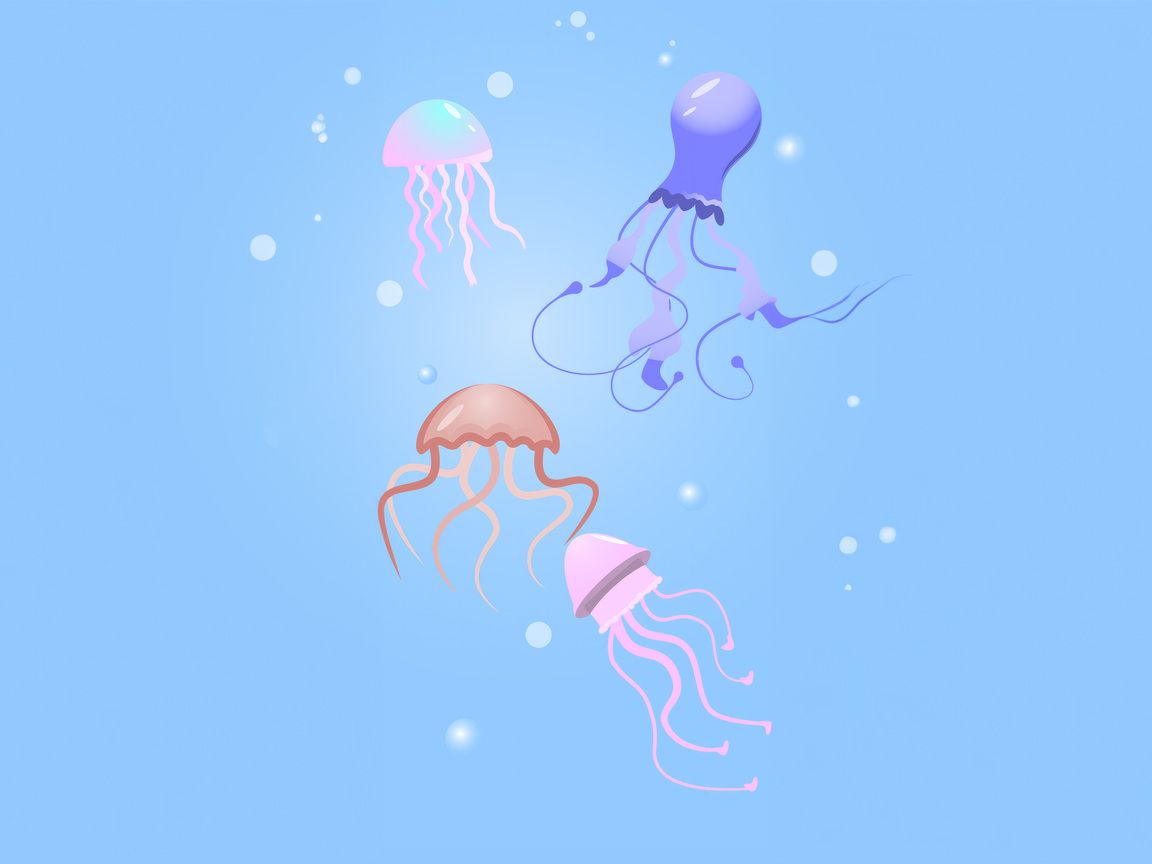 Jellyfish Minimal 1152x864 Resolution HD 4k Wallpaper, Image, Background, Photo and Picture