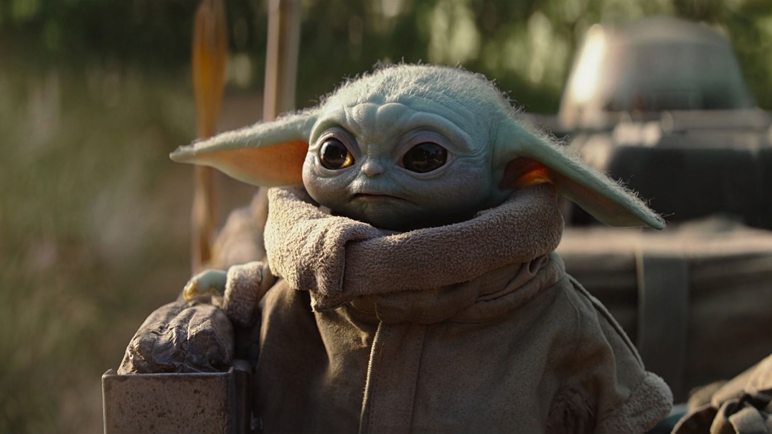 Baby Yoda, the cutest character in the Star Wars universe, is a big hit with fans. - Baby Yoda