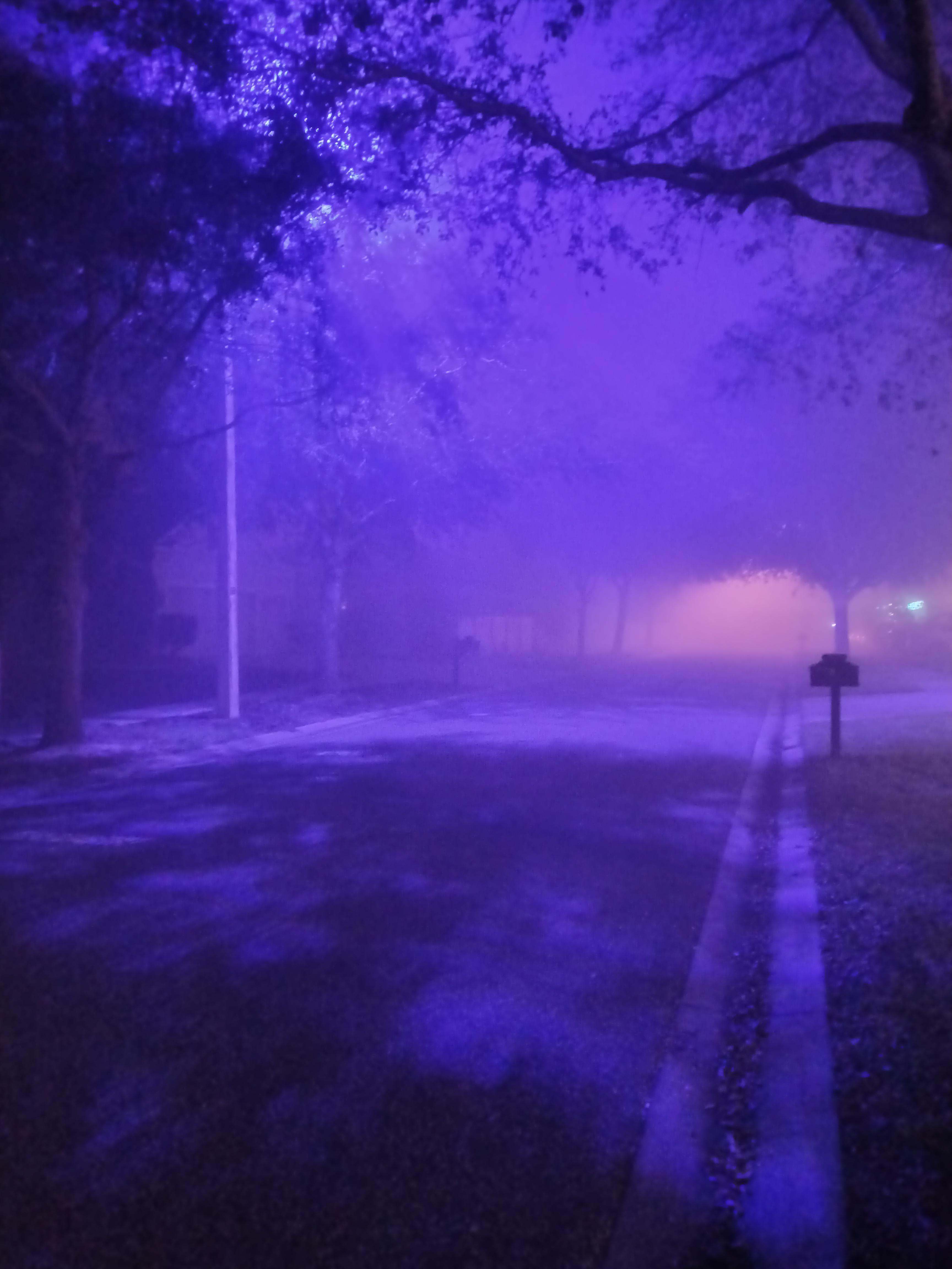 Tampa FL purple street lights and mixture of fog on New Years eve. What horror villain will come out from the fog?