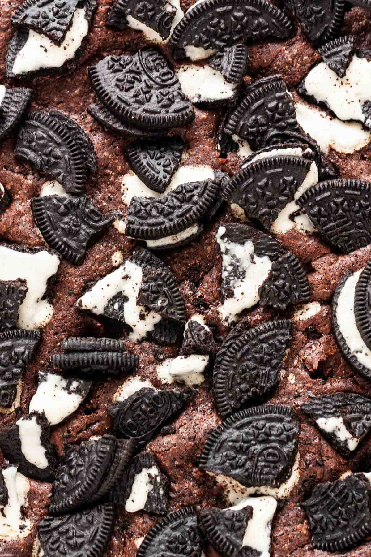 Oreo Brownies (Made fom Scratch)