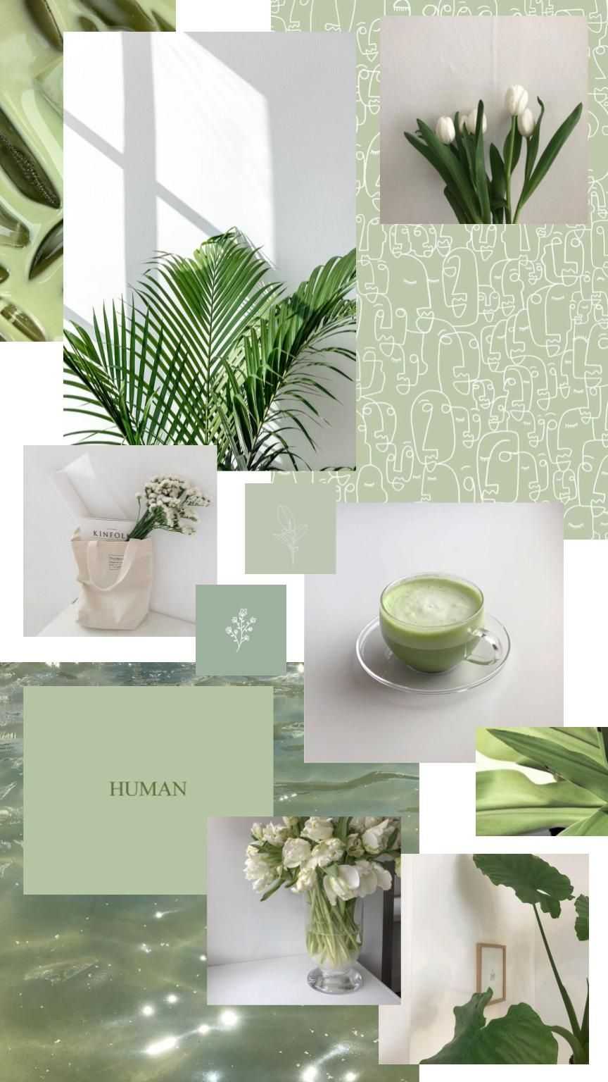 A collage of green aesthetic images - Pastel green, sage green, soft green, green, light green, neon green
