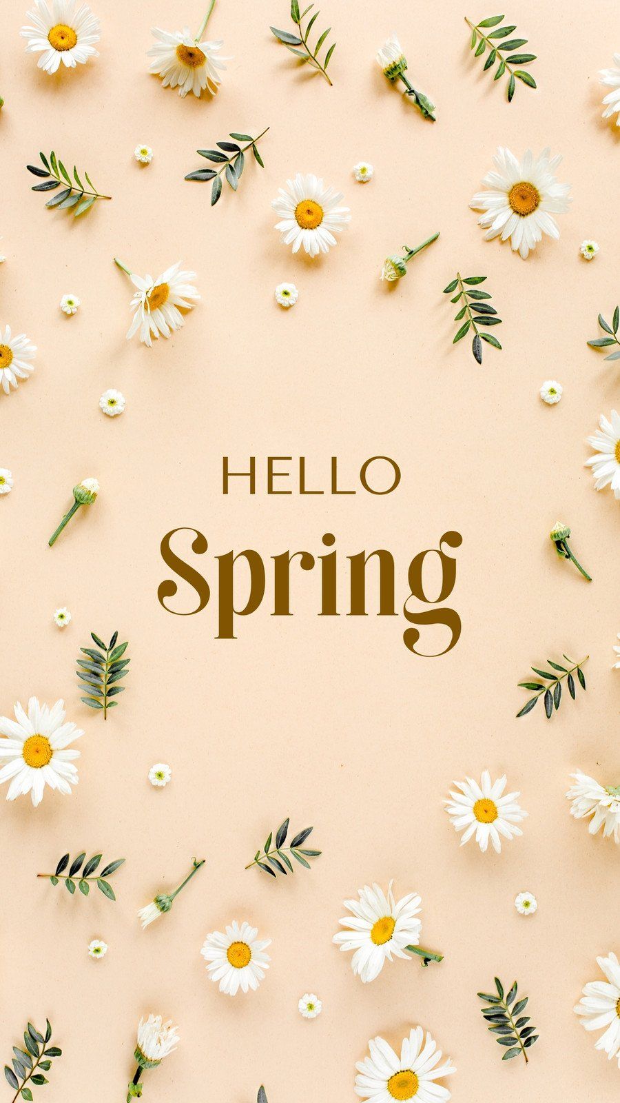 Hello Spring Aesthetic Wallpaper