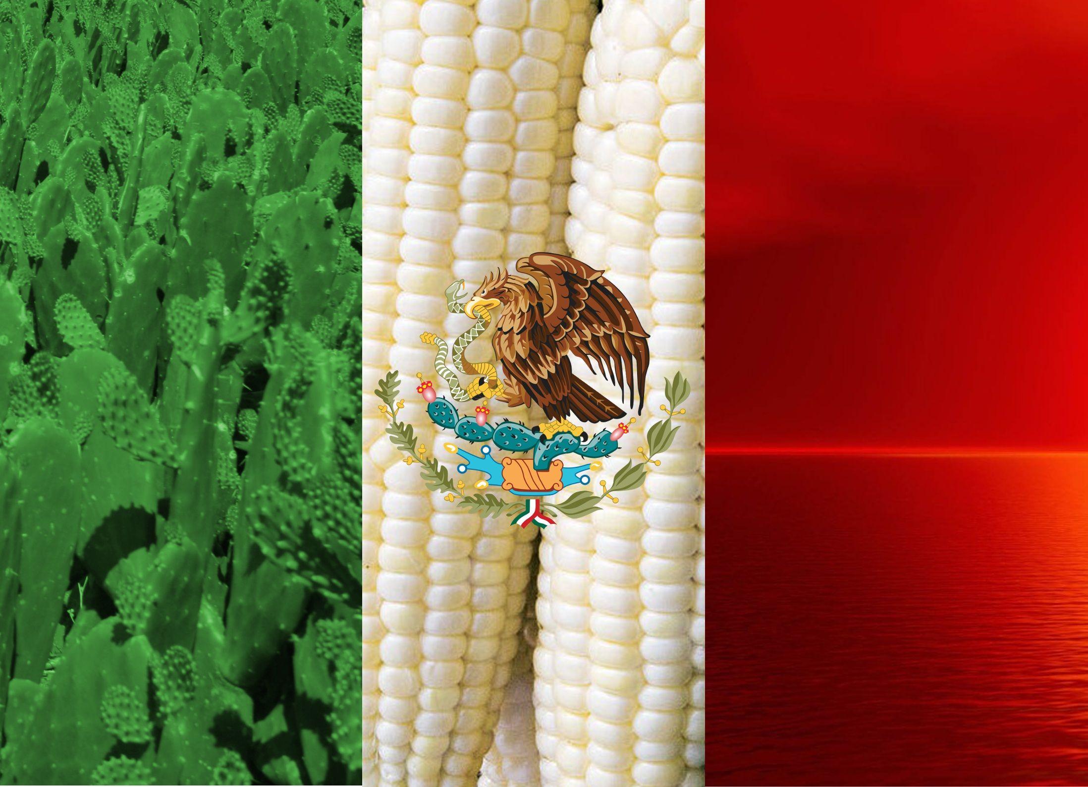 A flag of Mexico made out of corn - Mexico