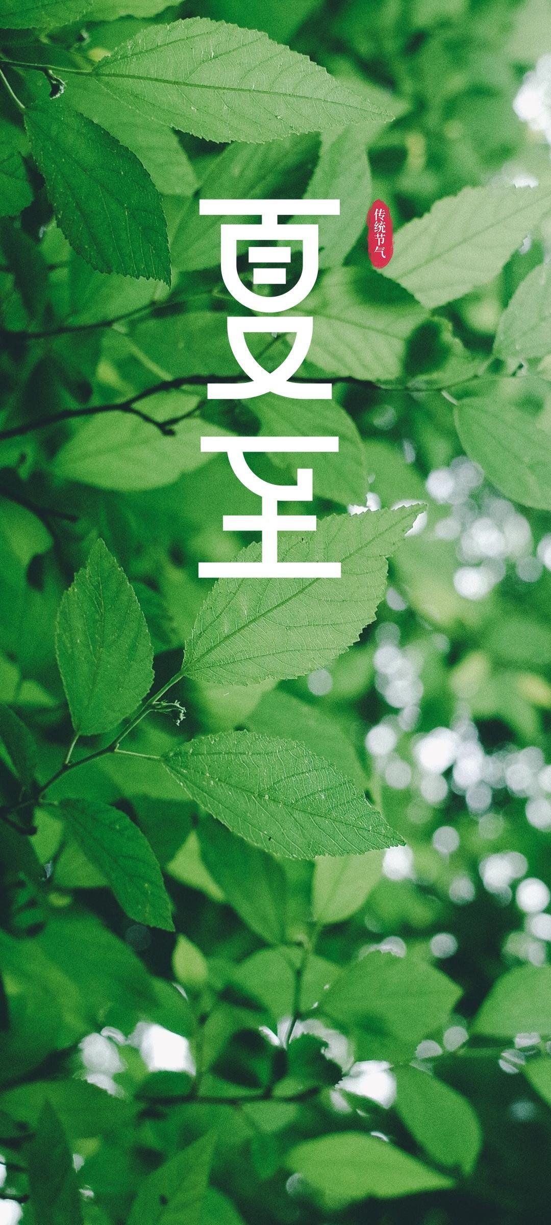 A green plant background with the text '愚人节' in white. - 1080x2400, Japanese, leaves