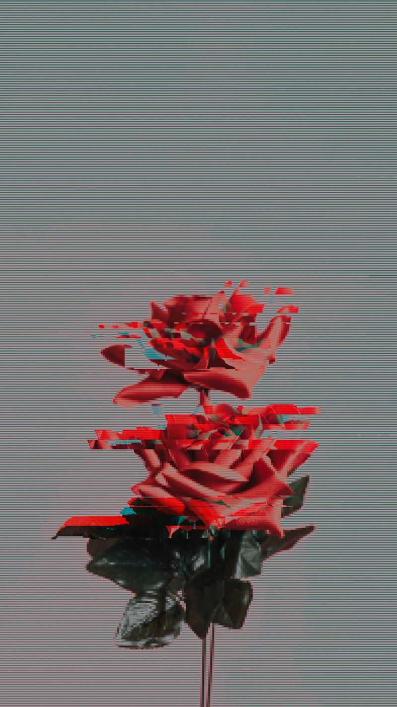 A red rose that has been shattered into pieces - Black glitch, roses