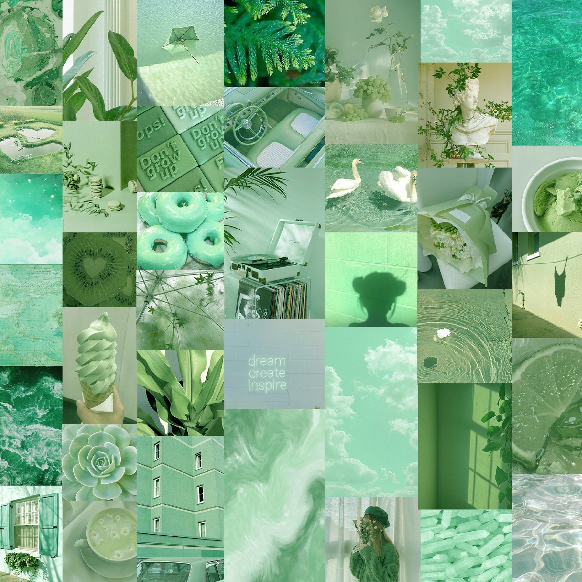 Collage of photos of green aesthetic images such as plants, a green wall, a green cup, a green donut, a green background, and a green aesthetic wallpaper. - Soft green