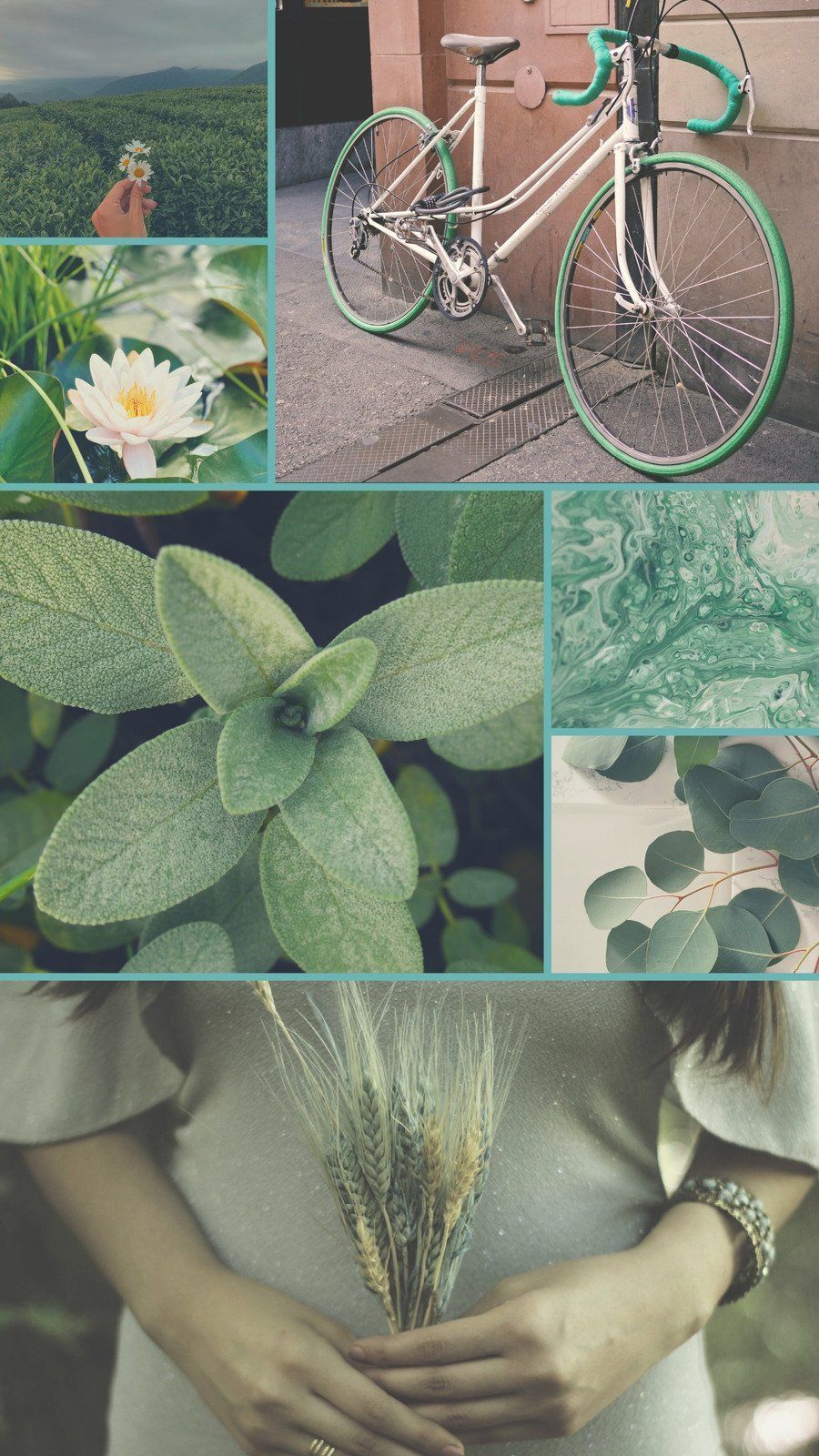 A collage of photos of greenery, a bike, and a girl holding wheat. - Soft green, sage green, light green