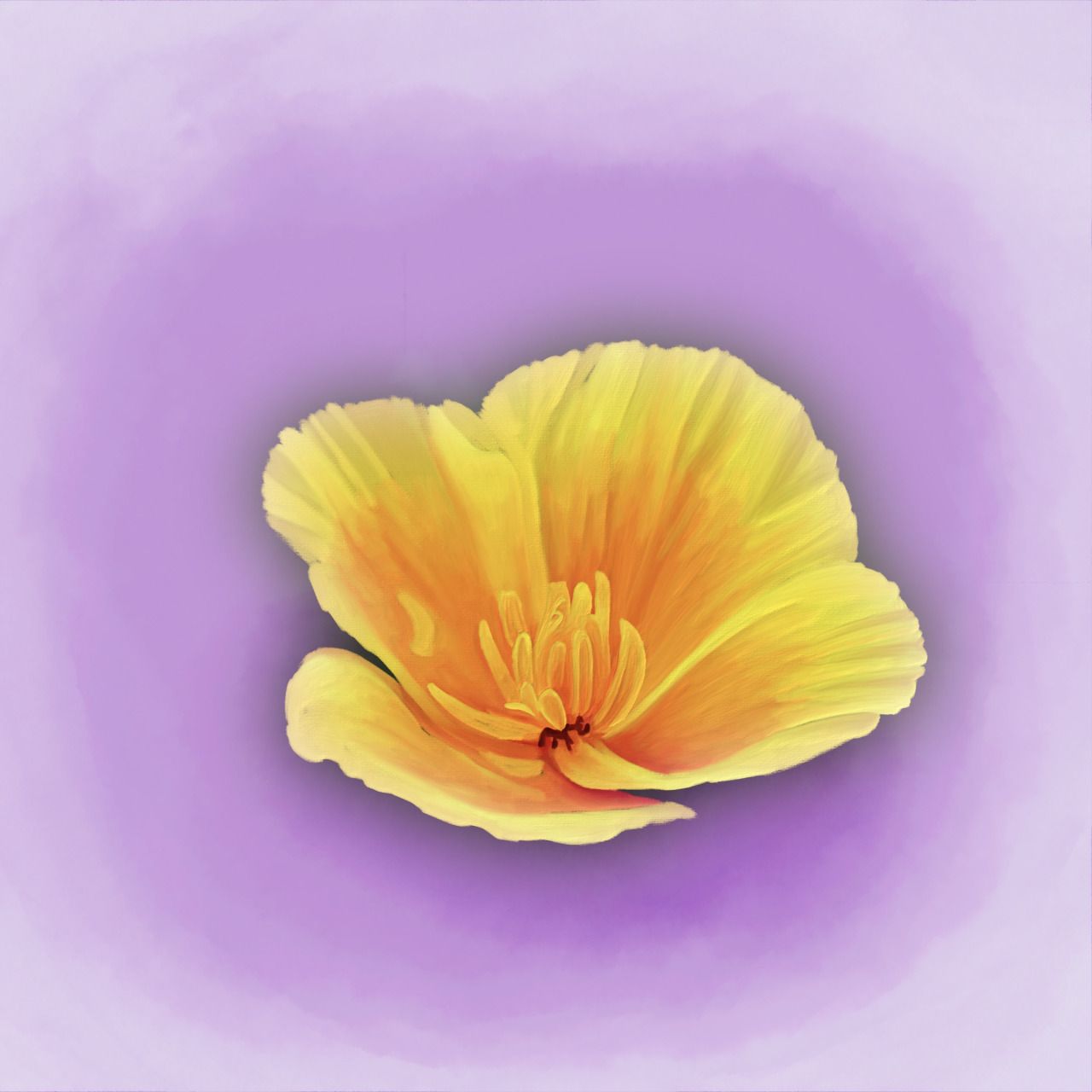 A yellow flower on purple background - Yellow