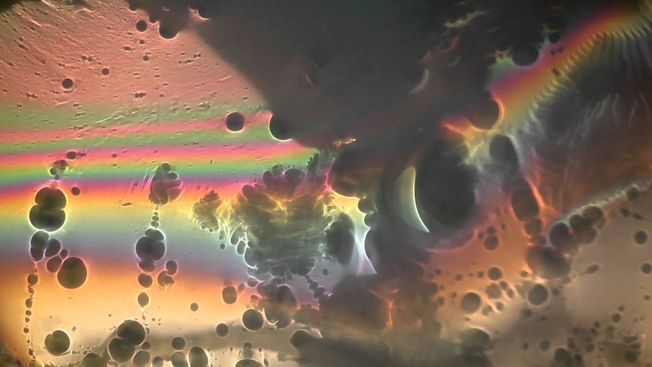 A close up of soap bubbles and water under a microscope. - Angelcore