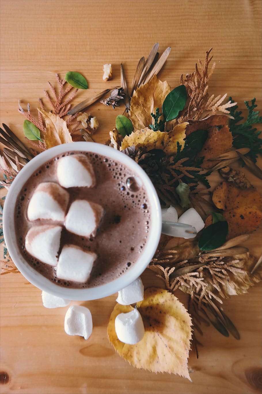 A cup of hot chocolate with marshmallows on top - Marshmallows