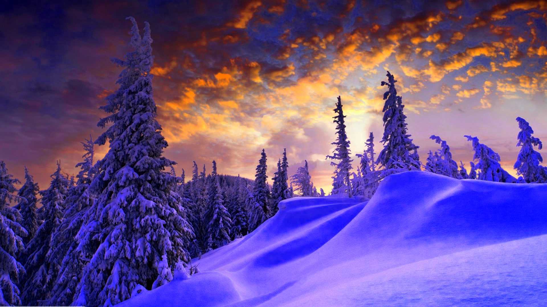Snowy trees in the sunset wallpaper 1920x1080 - Winter