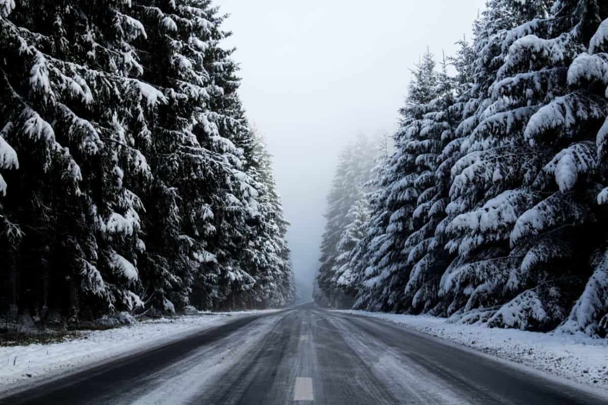 A road surrounded by snow covered trees - Winter