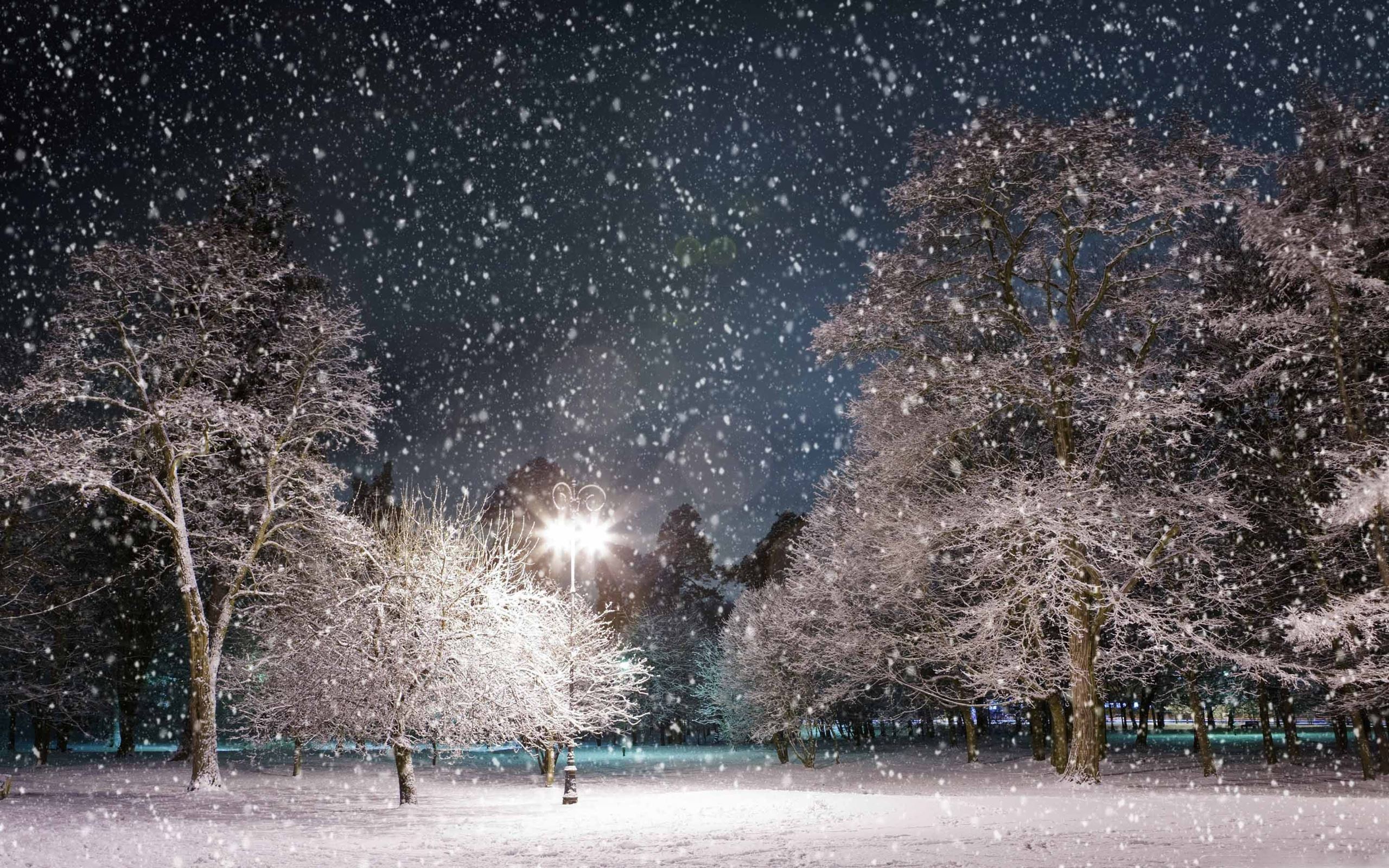 Snow falls in a park with trees and streetlights - Winter
