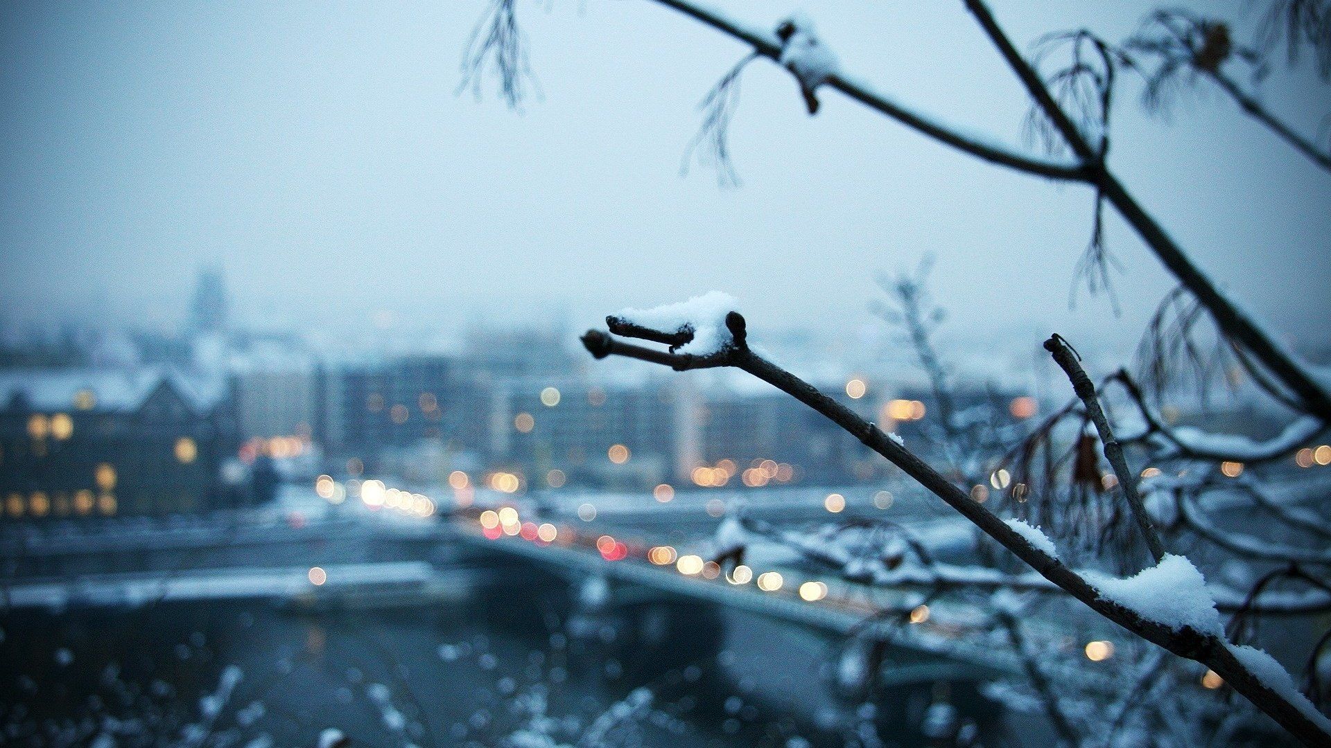 A snow covered branch with a city in the background - Winter