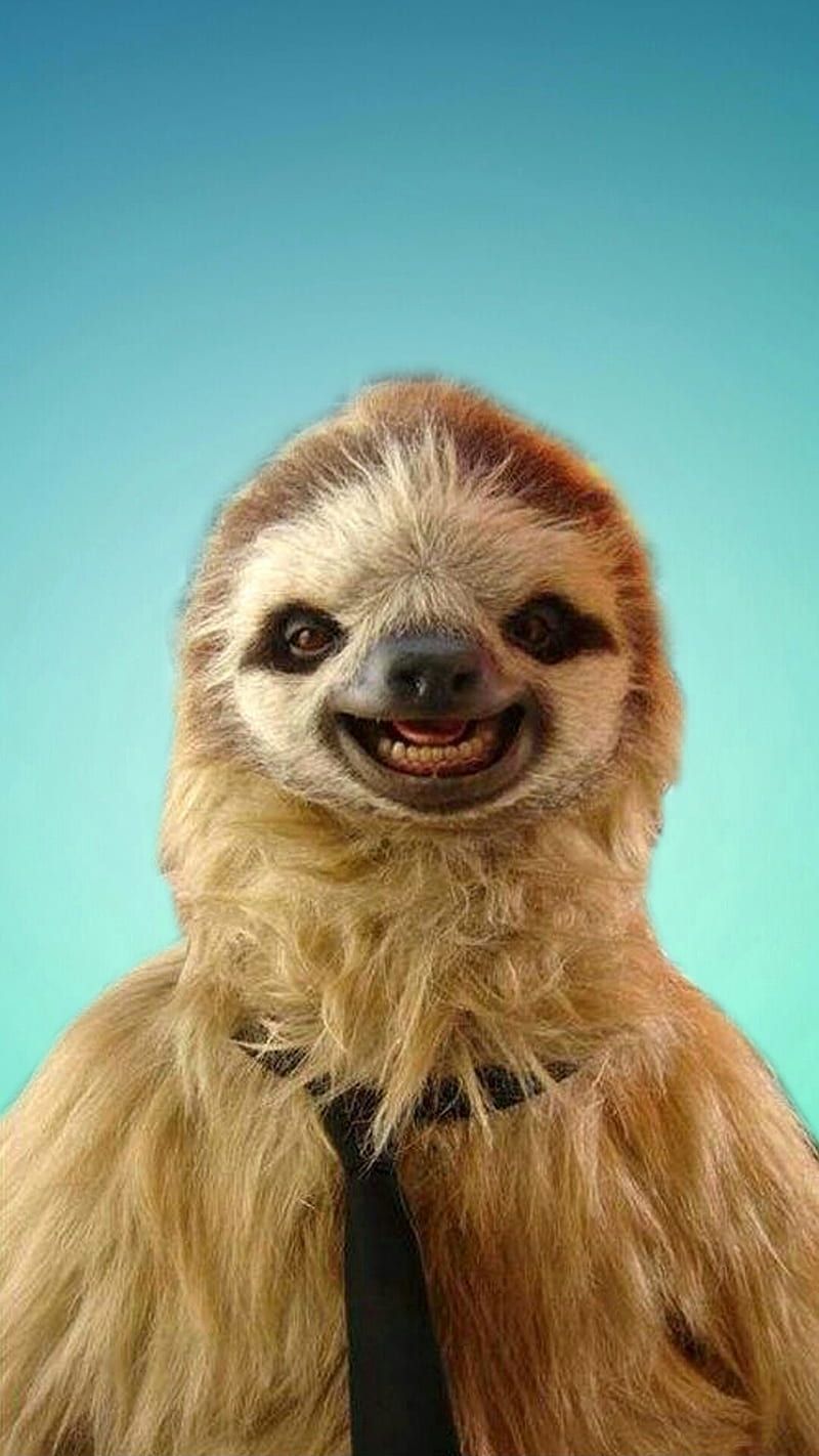 Mr Sloth, animals, art, cute, geometry, happy, sloth, smile, HD phone wallpaper