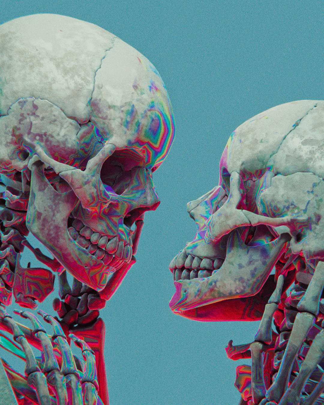 Two skulls facing each other - Anatomy