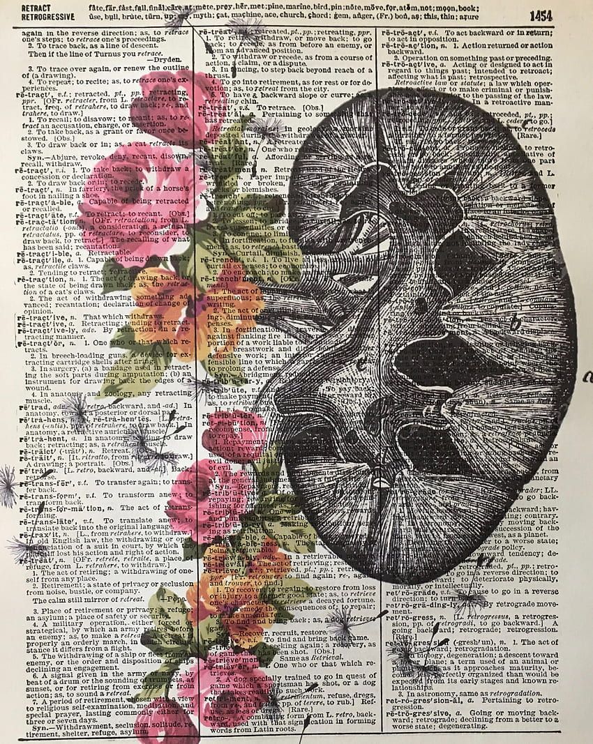 A print of a kidney with flowers on the left side. - Anatomy