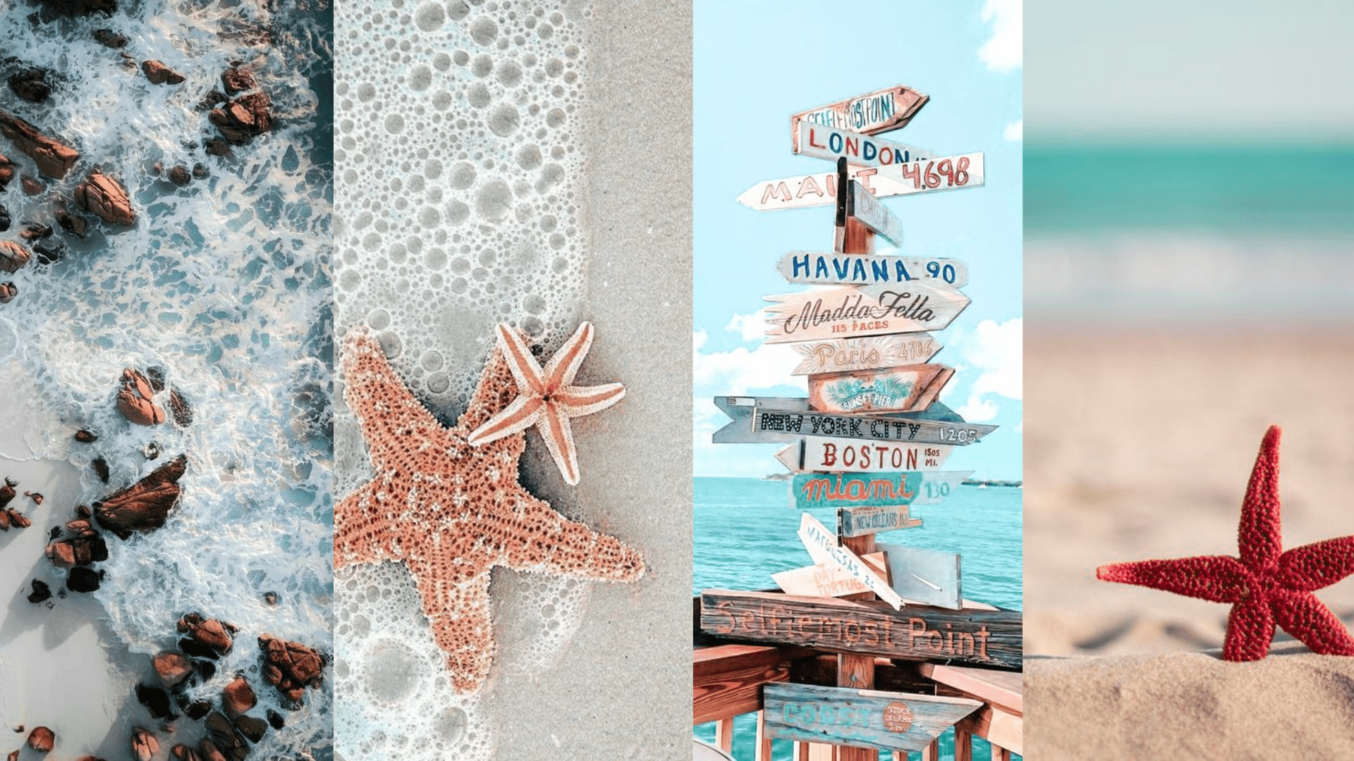 A collage of four photos of starfish on the beach - London, coast, starfish