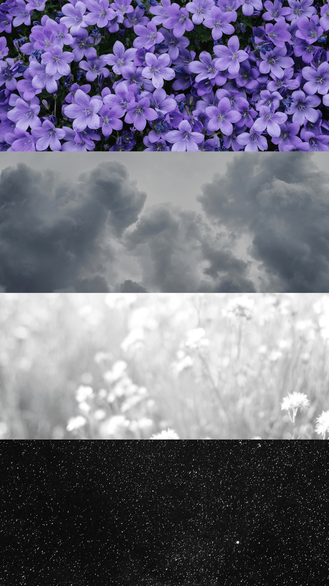 A collage of images including purple flowers, clouds, and stars. - Asexual
