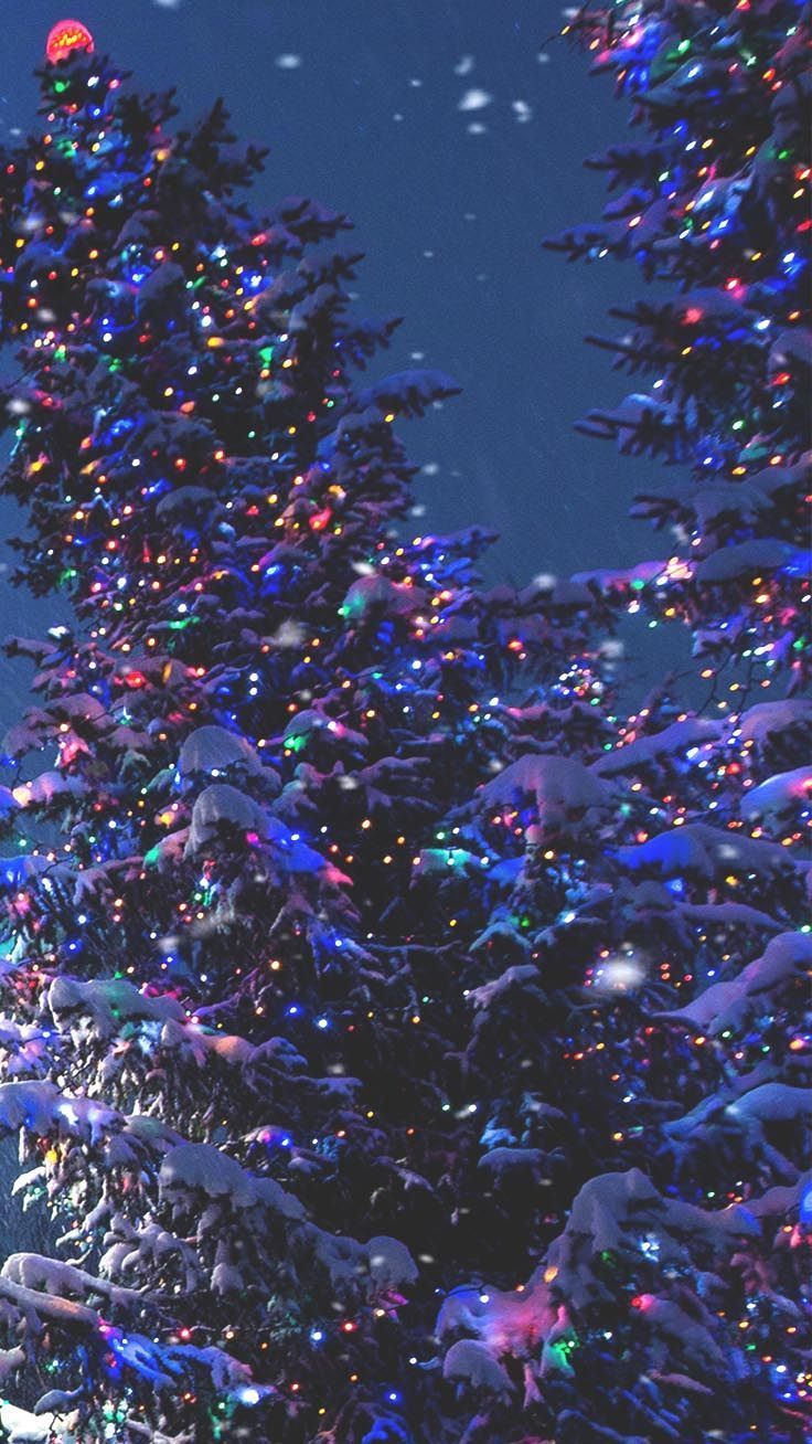 A snow covered tree with colorful lights. - Christmas iPhone