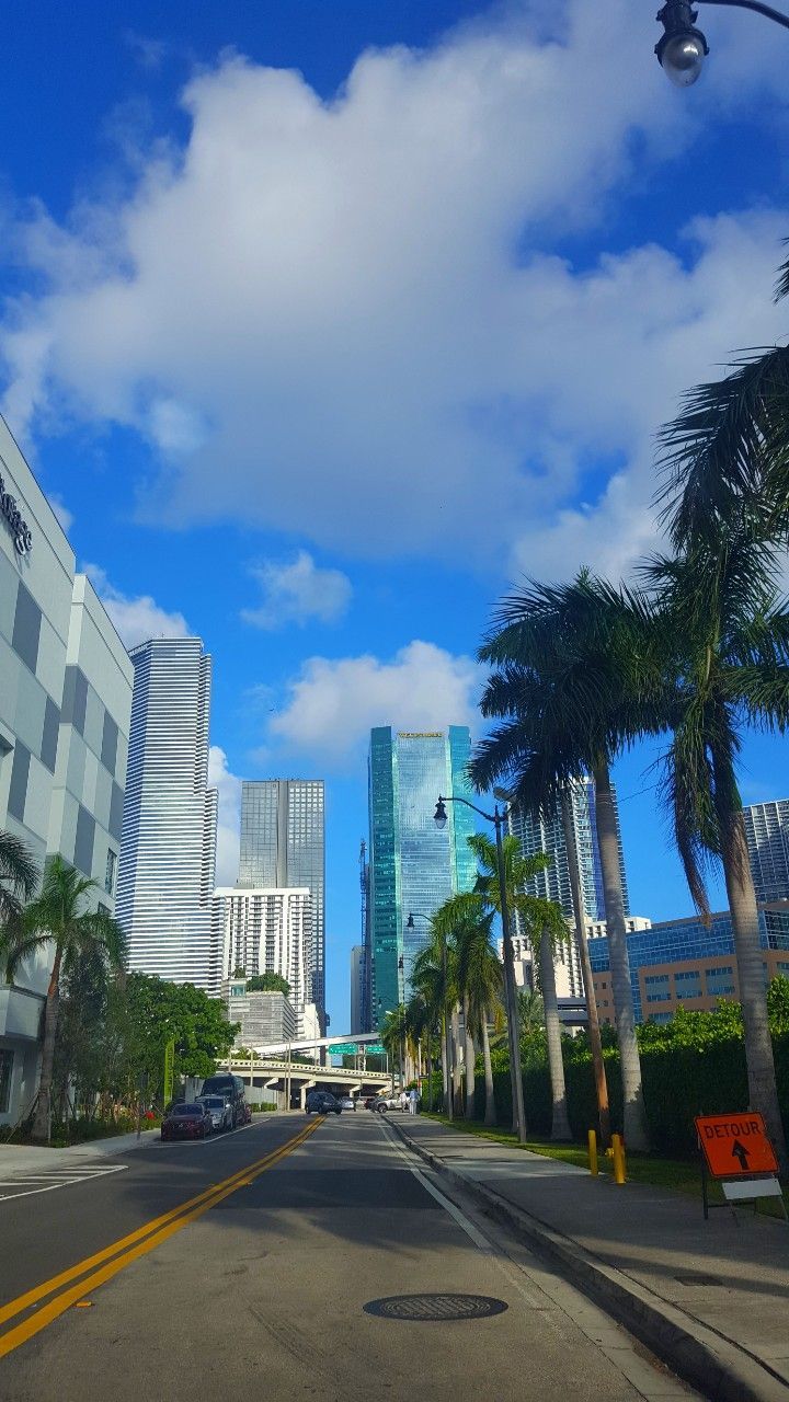 A city street with buildings and palm trees on the side. - Miami