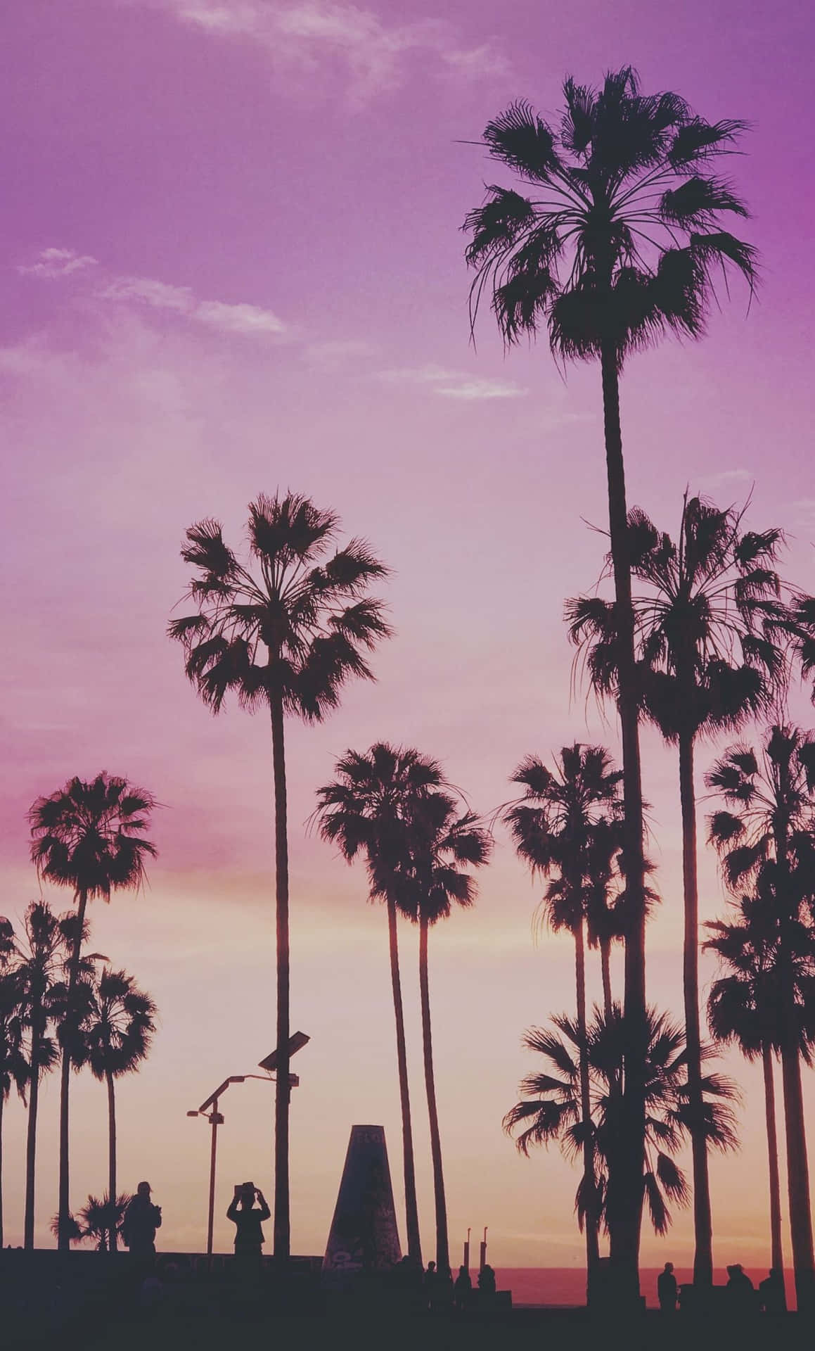 A purple and pink sunset with palm trees in the foreground. - Miami