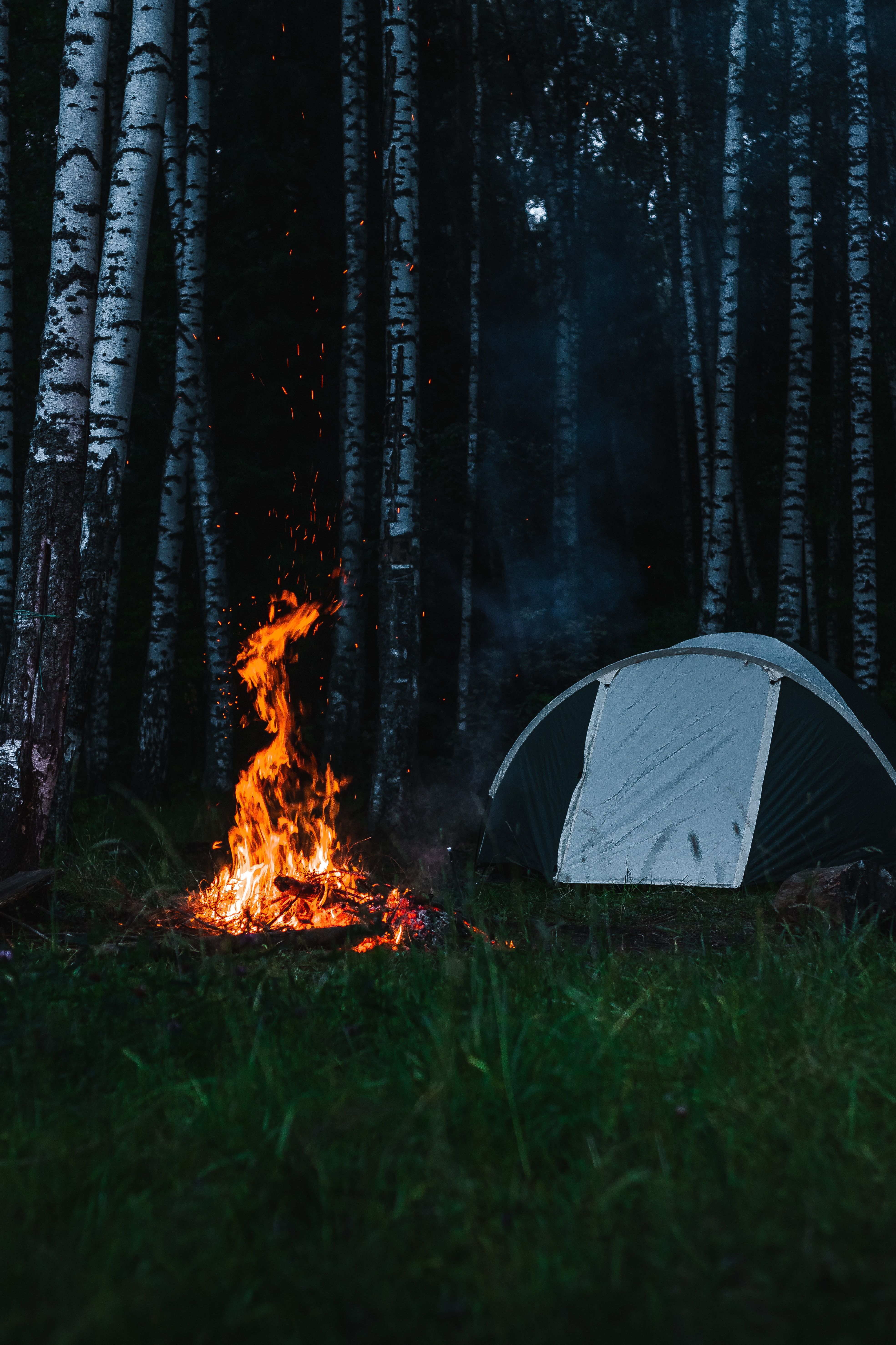 A tent is pitched next to a campfire in the woods. - Camping