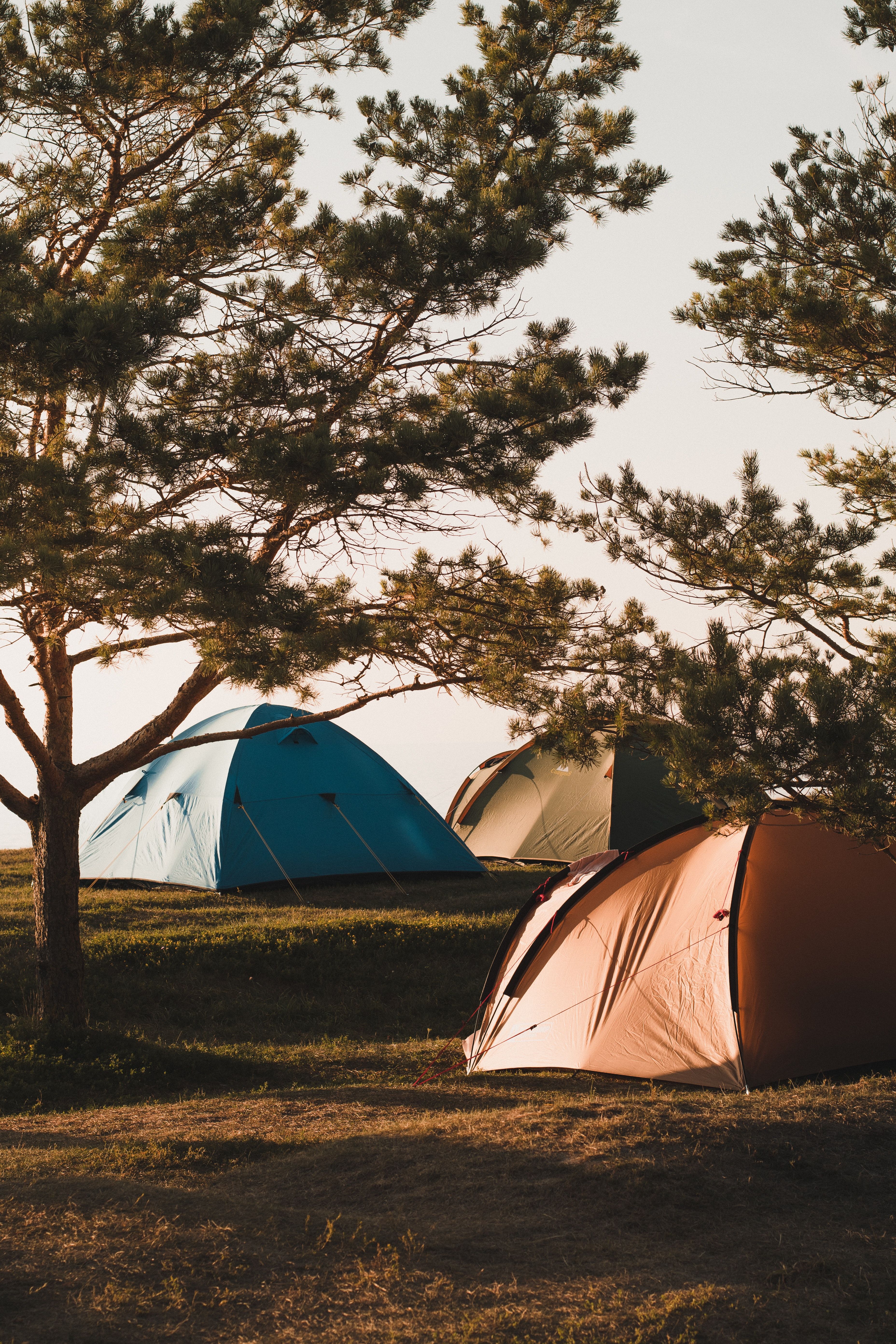 Download Camping wallpaper for mobile phone, free Camping HD picture
