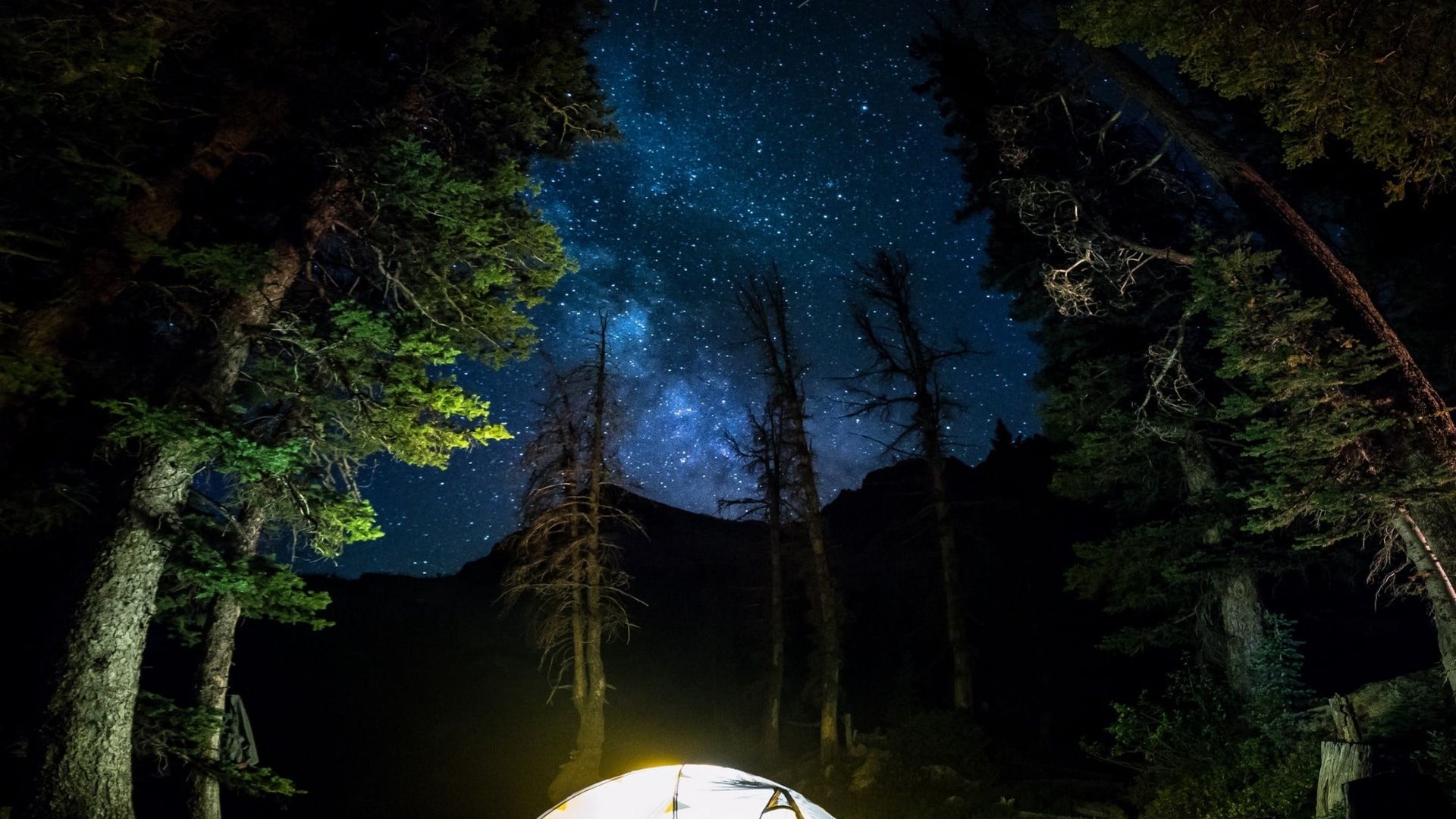 A person standing under a tent at night looking up at the stars - Camping