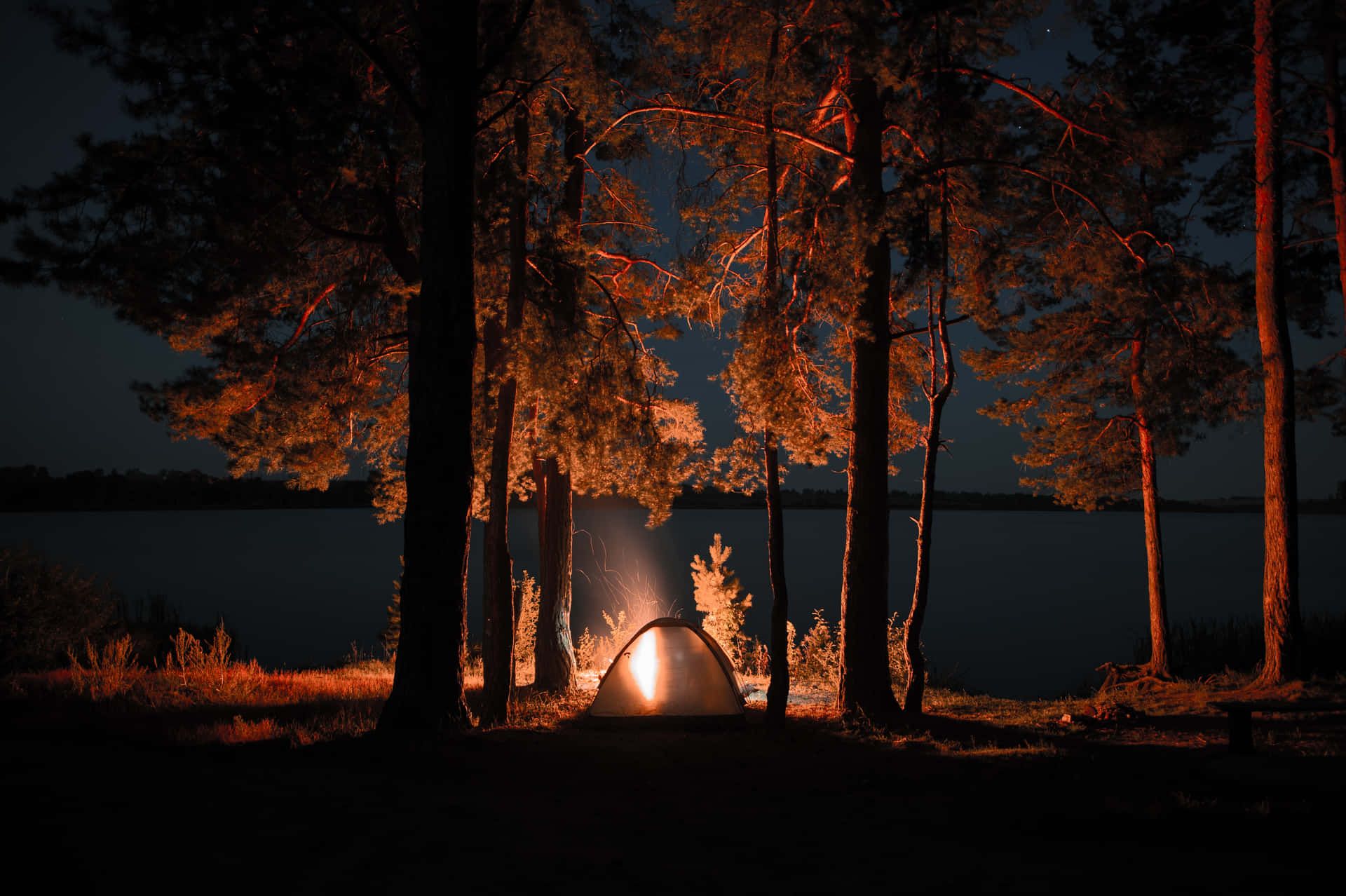 A tent in the woods at night with a light on - Camping