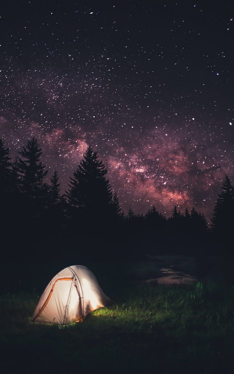 Night, stars, camping, sky, galaxy, HD phone wallpaper