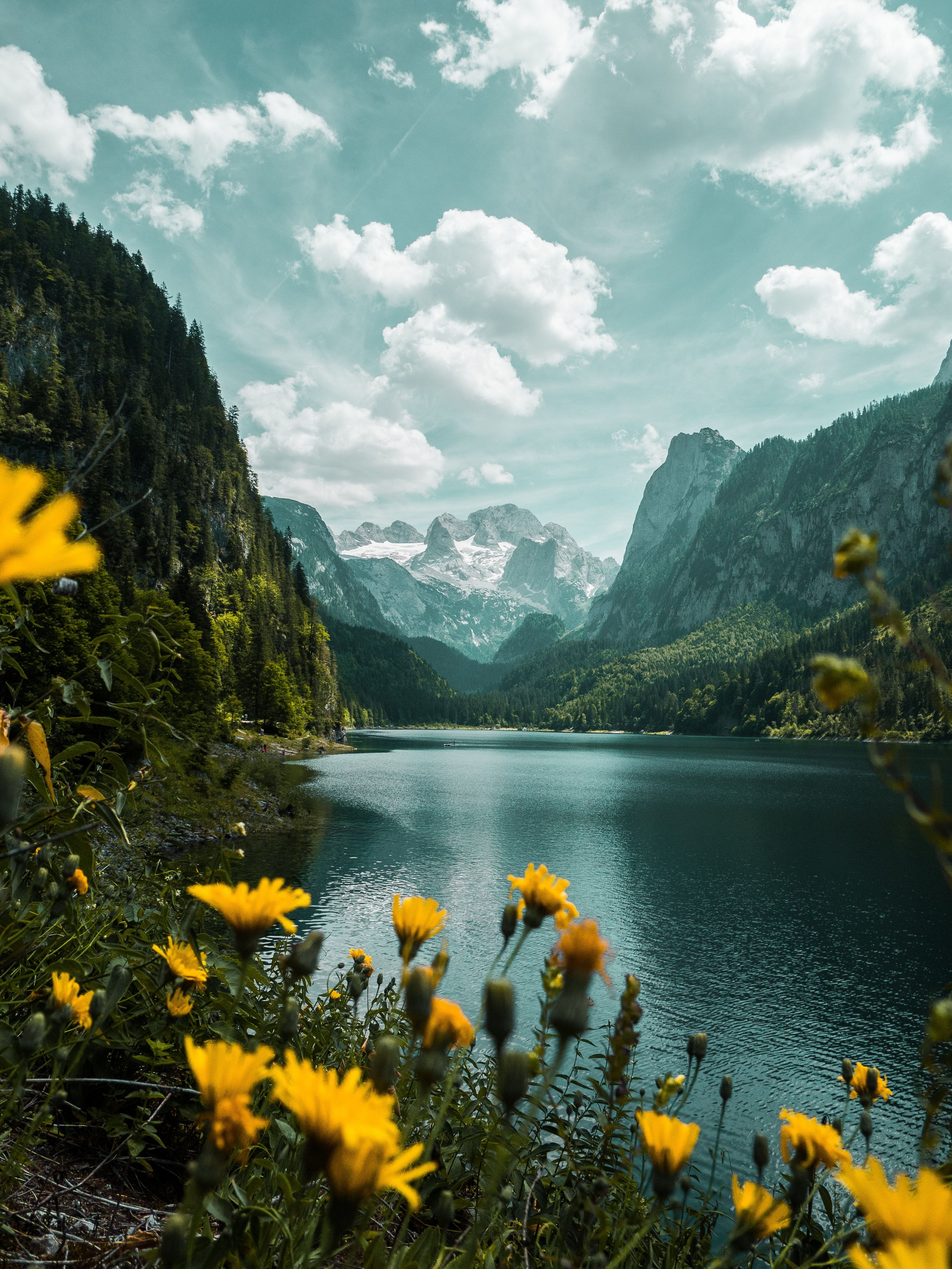 A landscape of a lake surrounded by mountains with yellow flowers in the foreground. - Lake