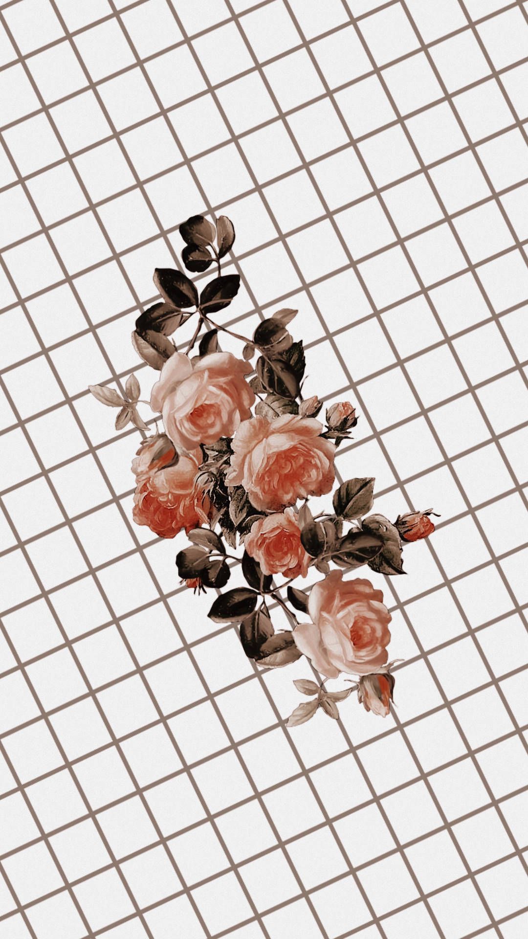 Aesthetic background of roses on a grid background - Roses