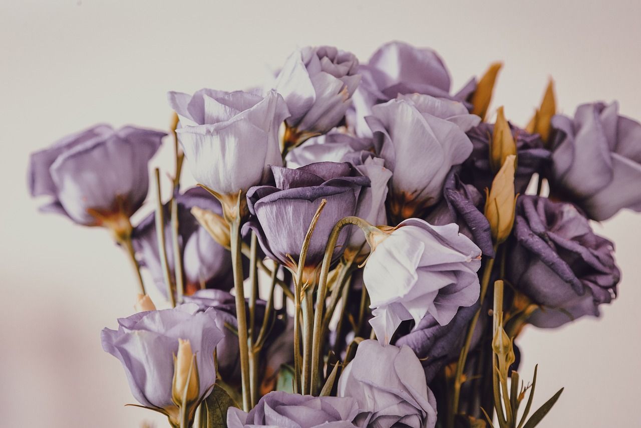 A vase filled with purple flowers sitting on a table. - Roses