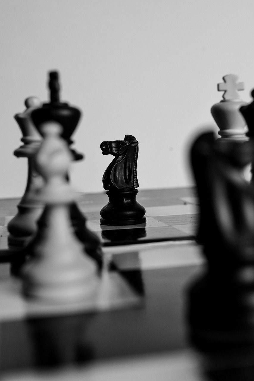 A black and white chess game with a knight in the middle. - Chess