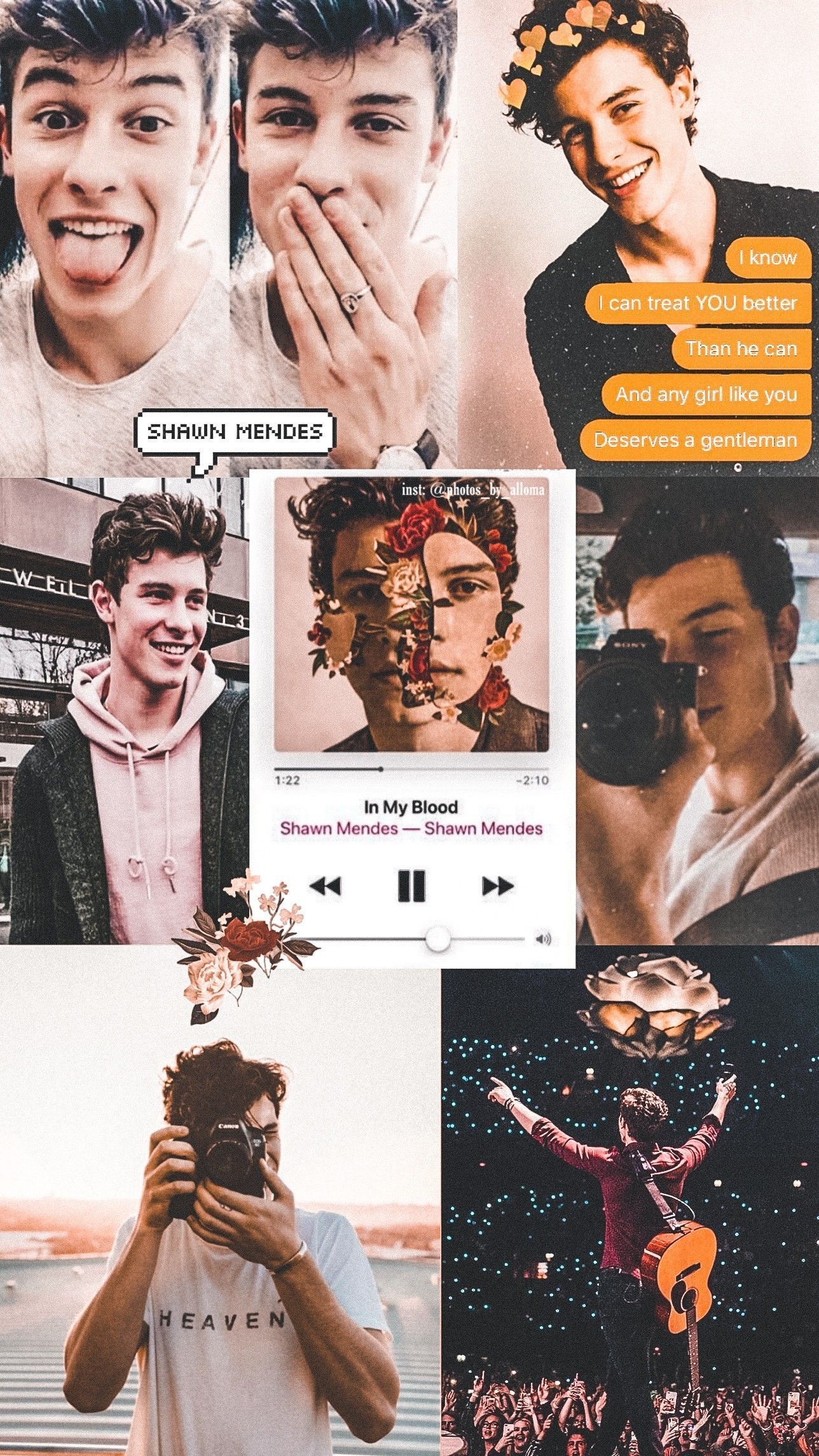 A collage of Shawn Mendes photos with a quote from his song In My Blood. - Shawn Mendes