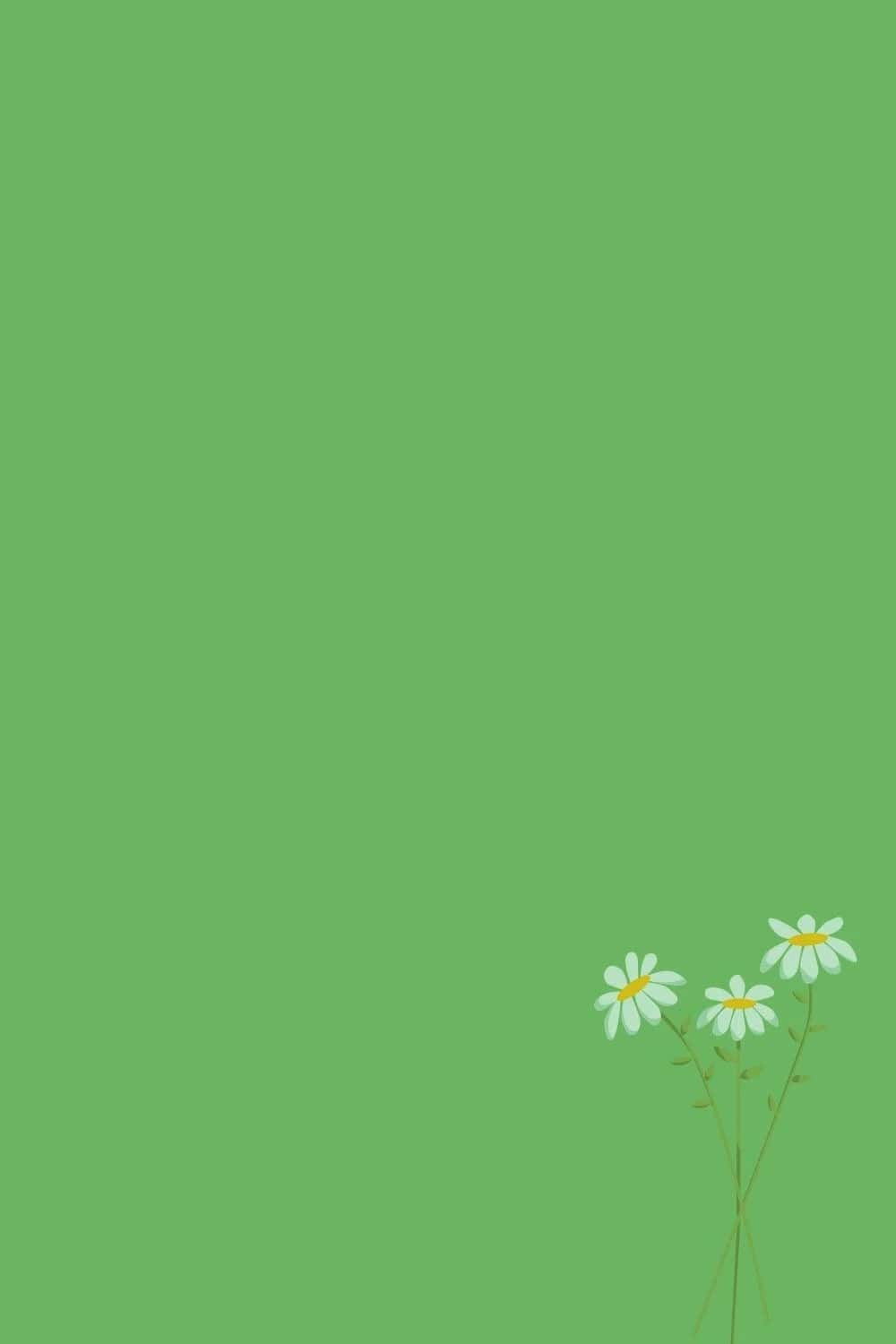 A phone wallpaper with three daisies on the bottom right corner - Sage green
