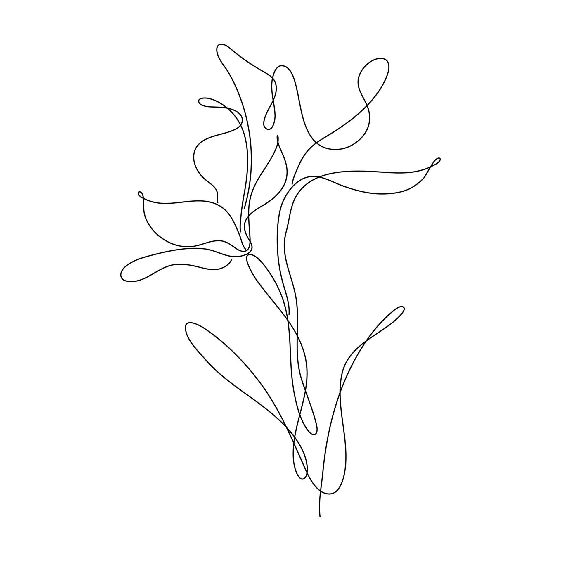 A drawing of a flower - Border