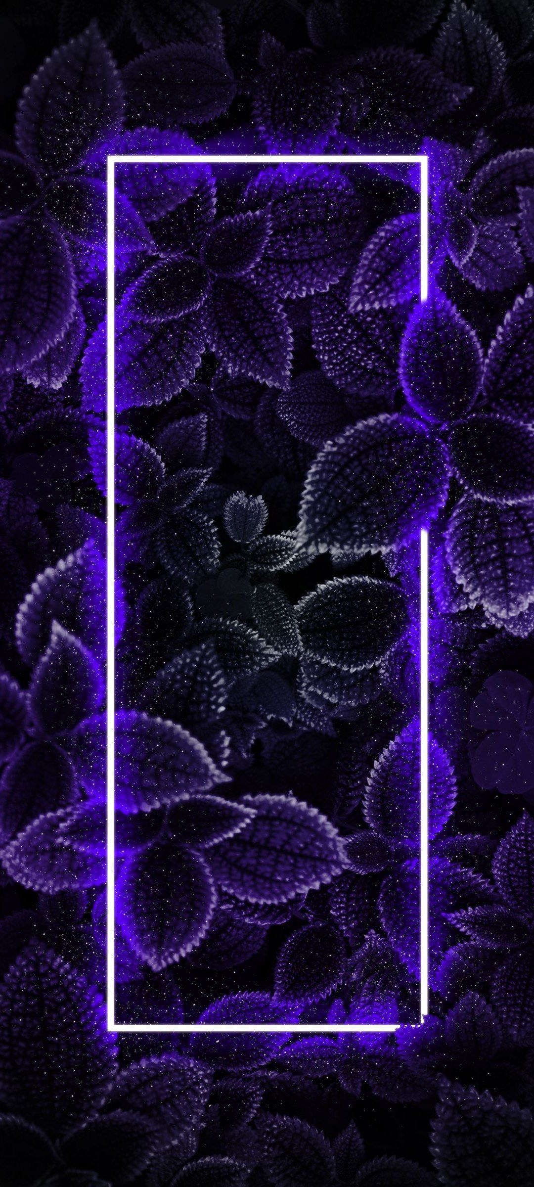 Aesthetic neon purple wallpaper with a border - Border
