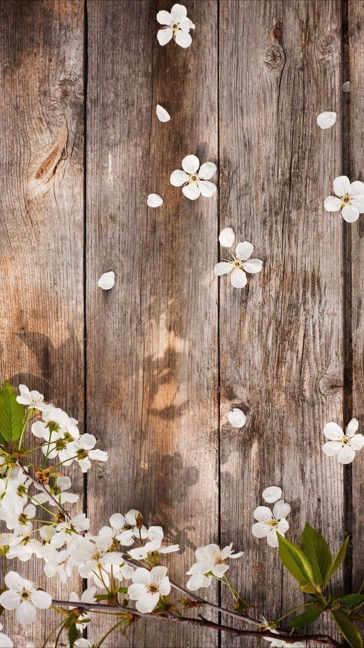 Wood and flower aesthetic Wallpaper Download