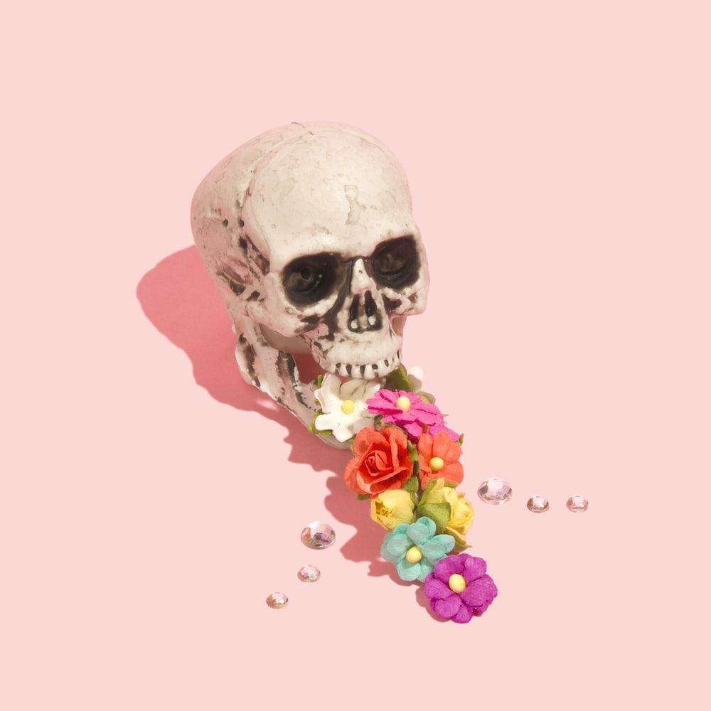 A skull with flowers on it sitting in front of some other objects - Skeleton