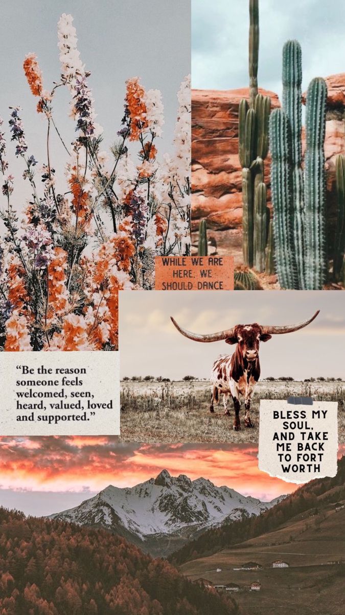 <ref> western aesthetic phone wallpaper</ref><box>(4,1),(994,999)</box> for your phone! - Western