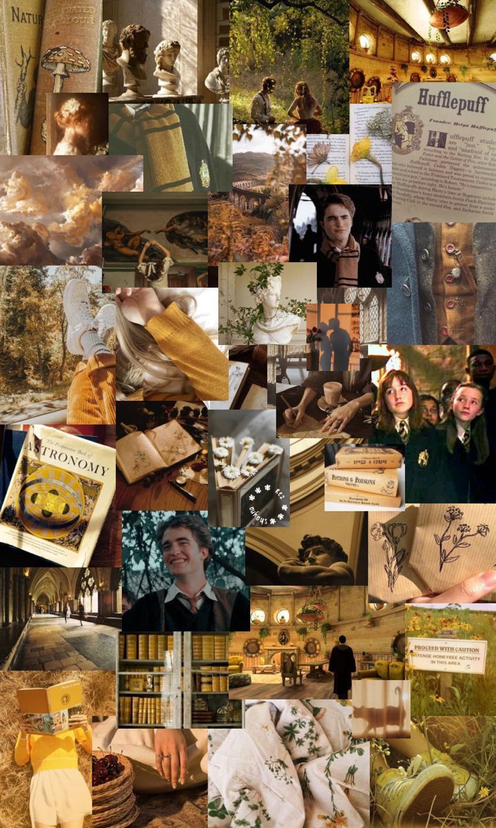 Aesthetic collage of Harry Potter characters, books, and scenery. - Hufflepuff